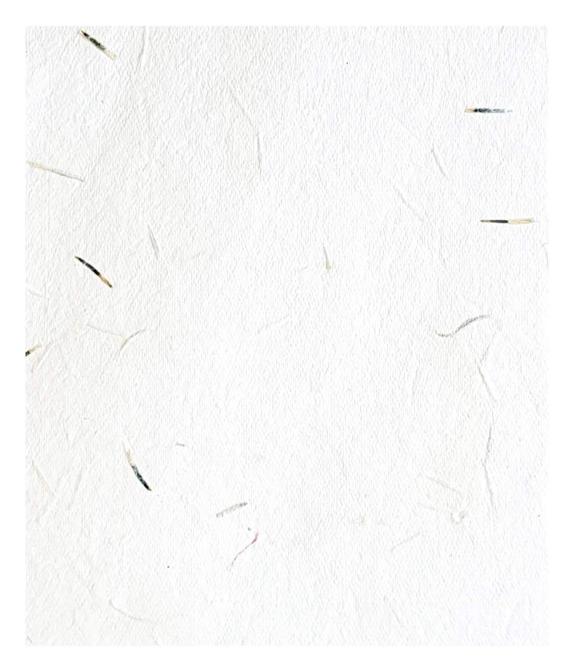 Devraaj Eco Friendly White Plantable Marigold Paper Seed Paper 5x7 inch Size Set of (50)