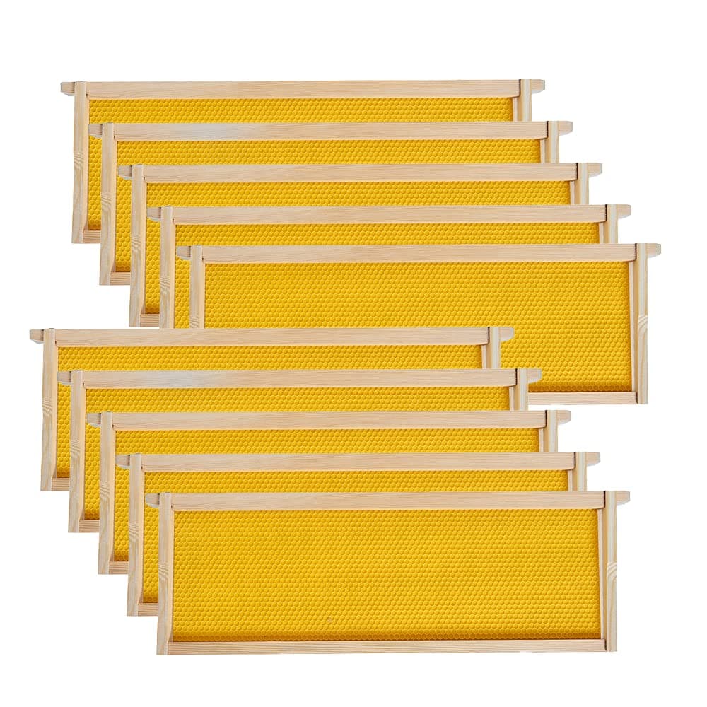 10 Pack Super Bee Frames with Foundation Sheets