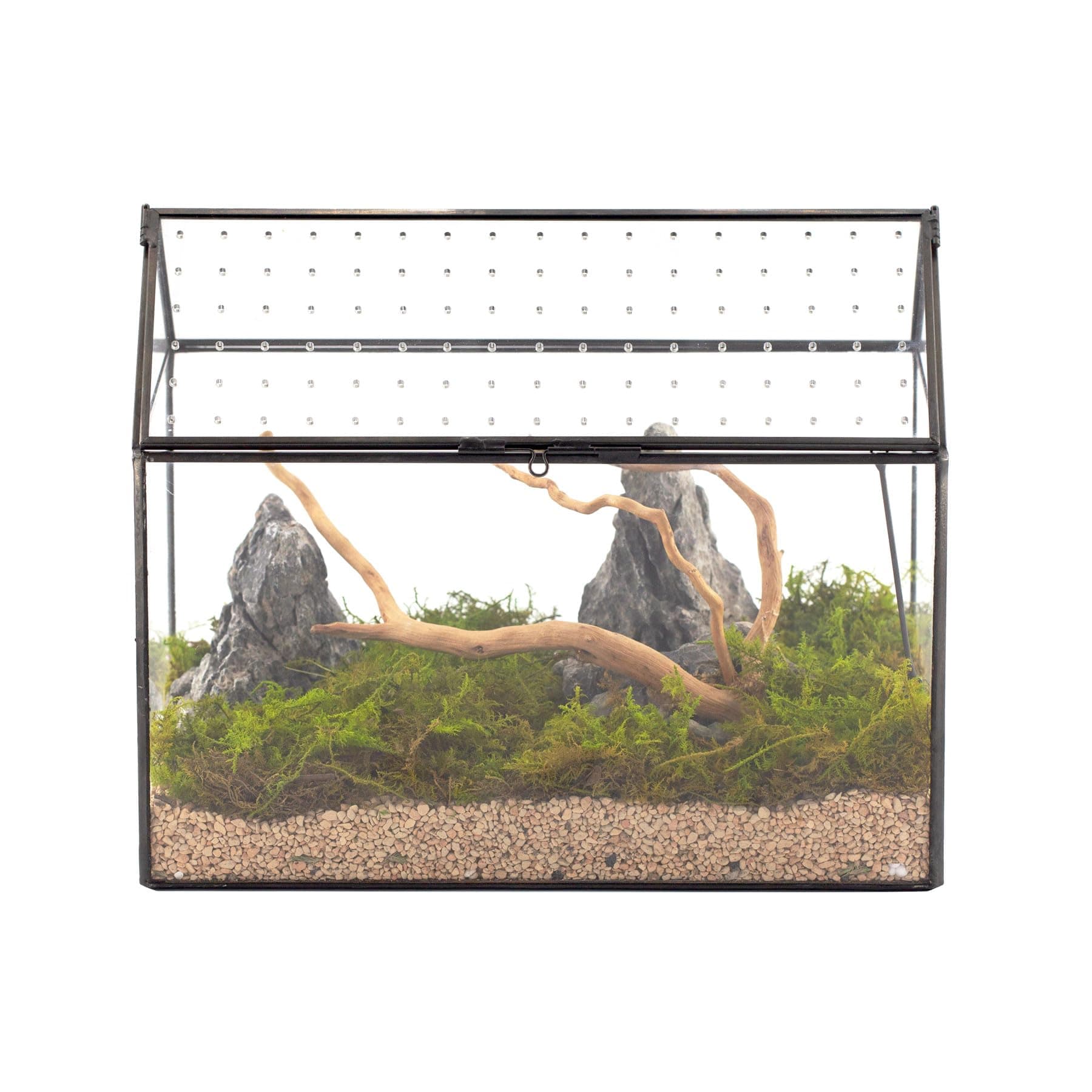 NCYP House Shape Glass Terrarium with Acrylic Lid - 26x15x21 cm, Large Geometric Terrarium Box for Snails, Ferns, Succulents, Air Plants, Tabletop Black Decor (Plants NOT Included)