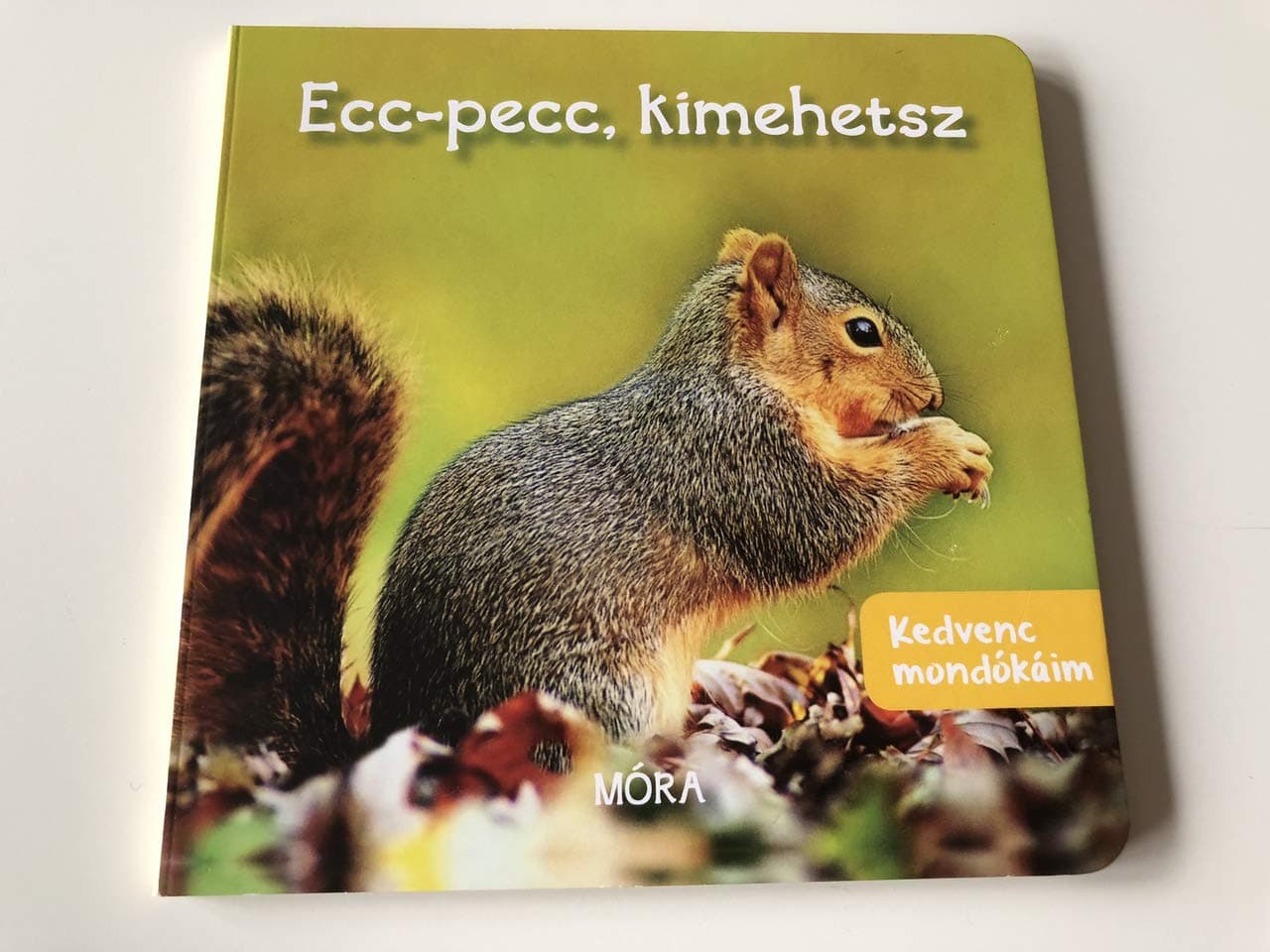 Ecc - Pecc, kimehetsz