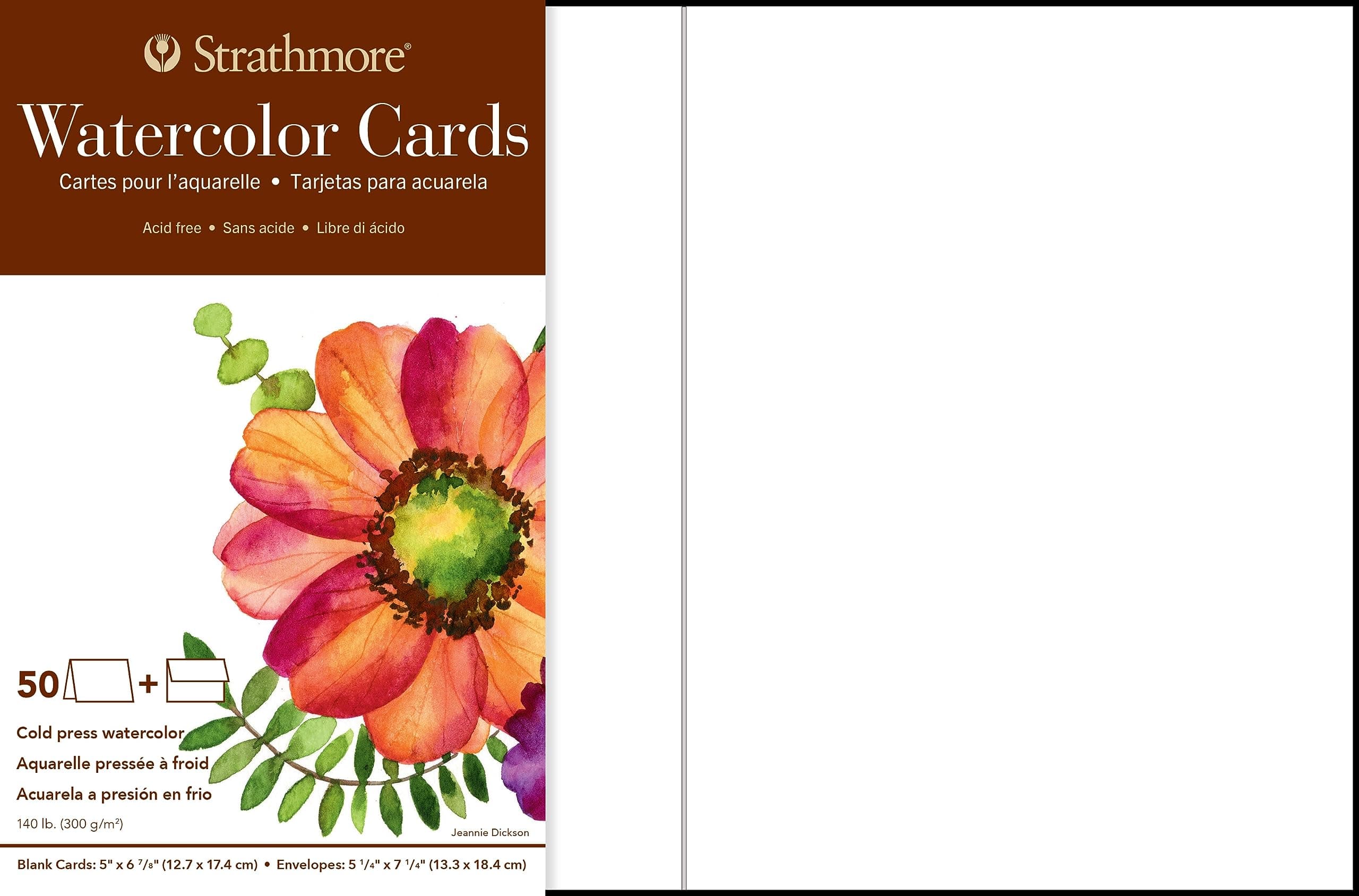 Pro-Art Strathmore Cards and Envelopes 5-inch x 6.875-inch 50 kg-Watercolor, White