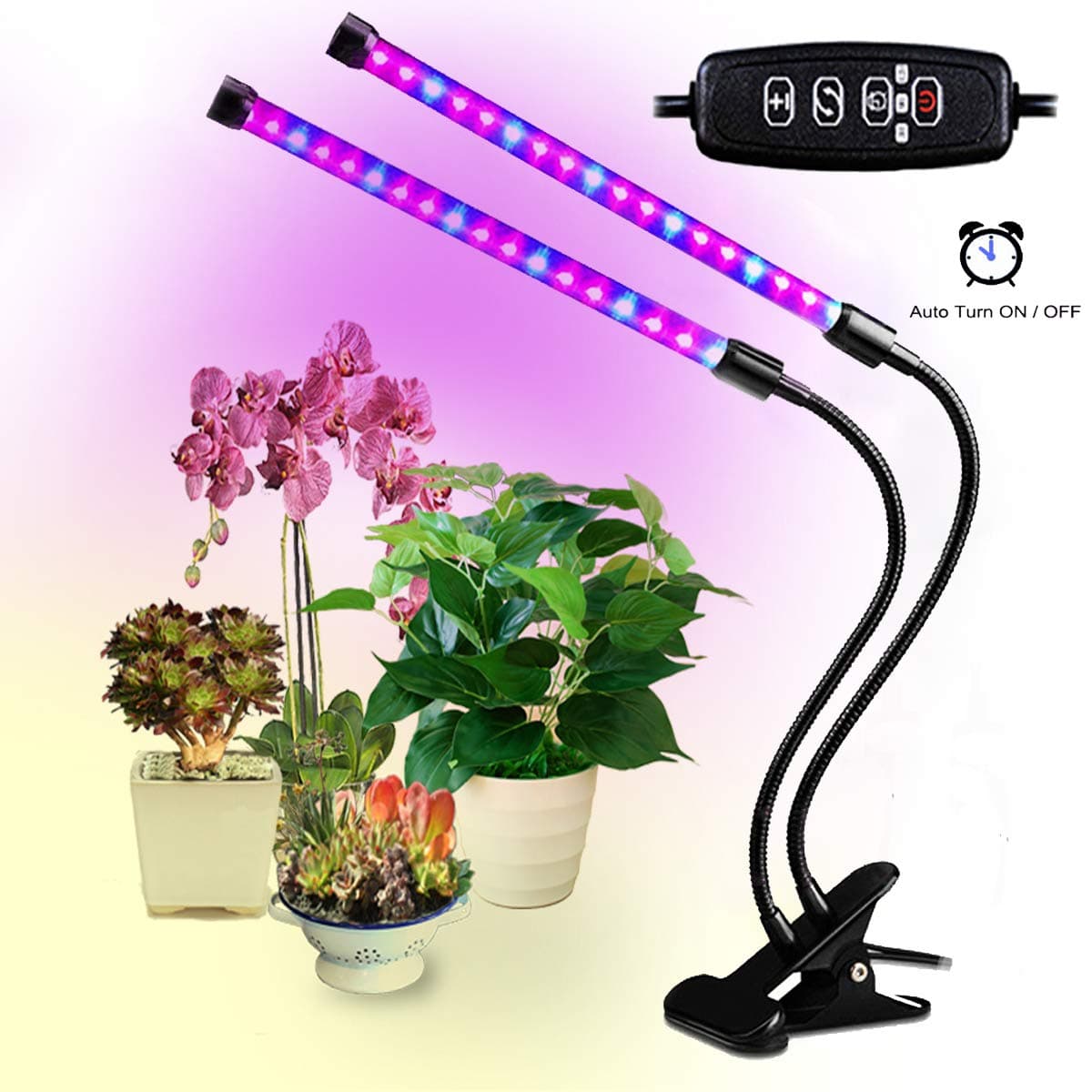 Led Grow Lights for Indoor Plants, Dual Head Plant Lights for Indoor Plants with Auto Turn on/Off, 38 LEDs Full Spectrum Indoor Plant Light,3 Dimmable Modes 3/9/12H/Clip for Plants Seedling-Black