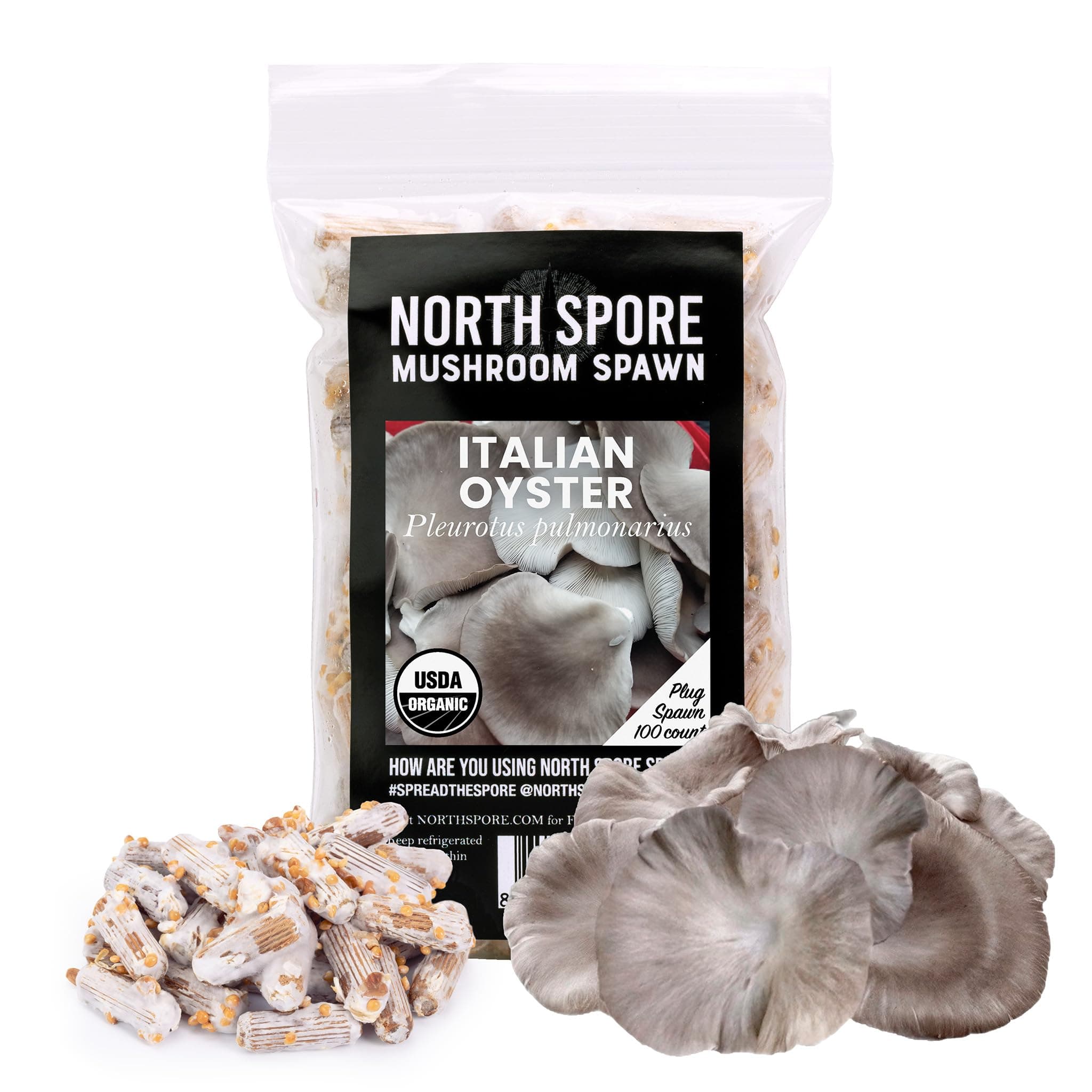 North Spore Organic Italian Oyster (100 ct) Mushroom Plugs for Logs | Premium Quality Mushroom Plug Spawn | Handmade in Maine, USA | Grow Gourmet Mushrooms Outdoors on Logs