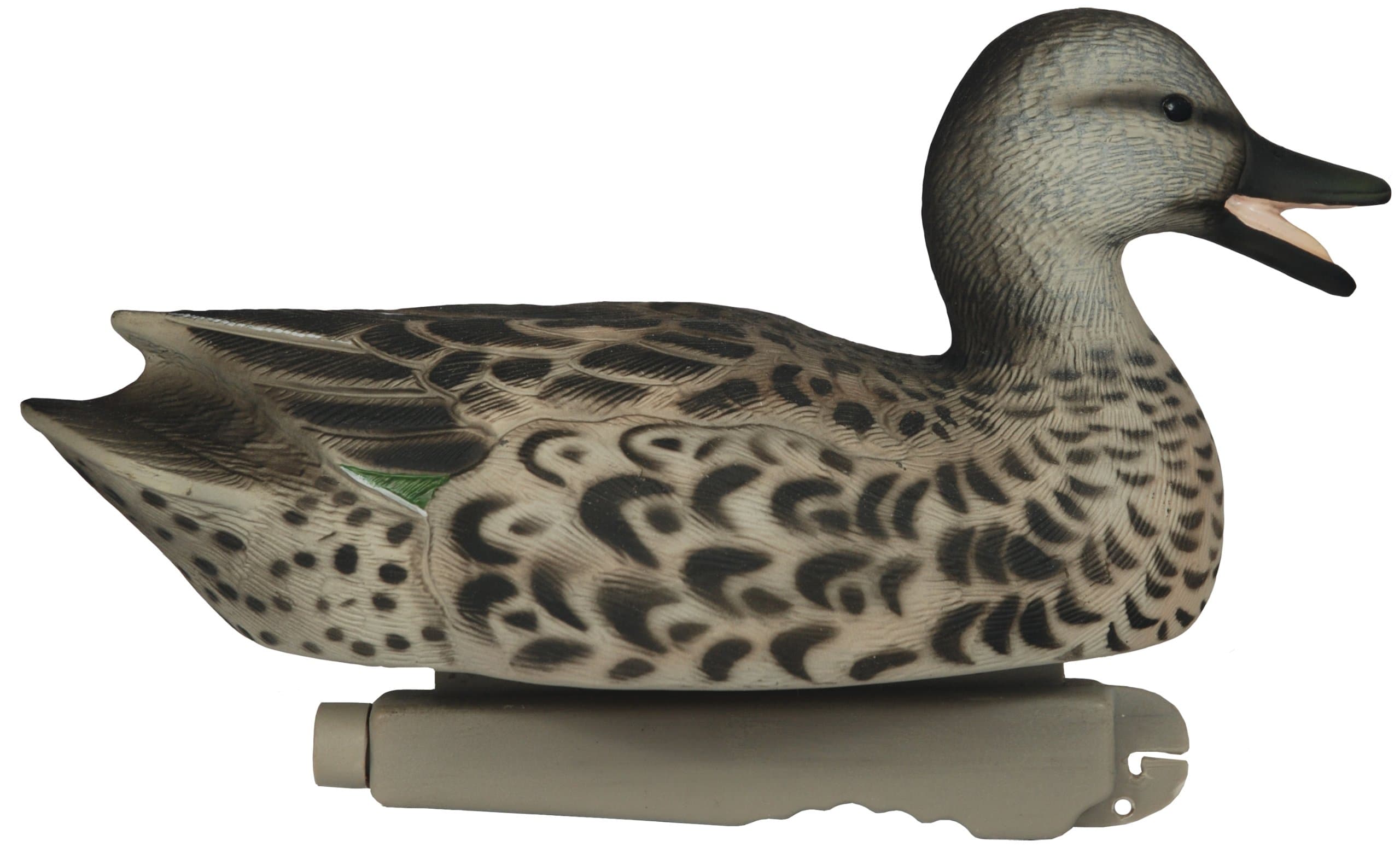Pro-Series Green Winged Teal Duck Decoys, 12-Inch