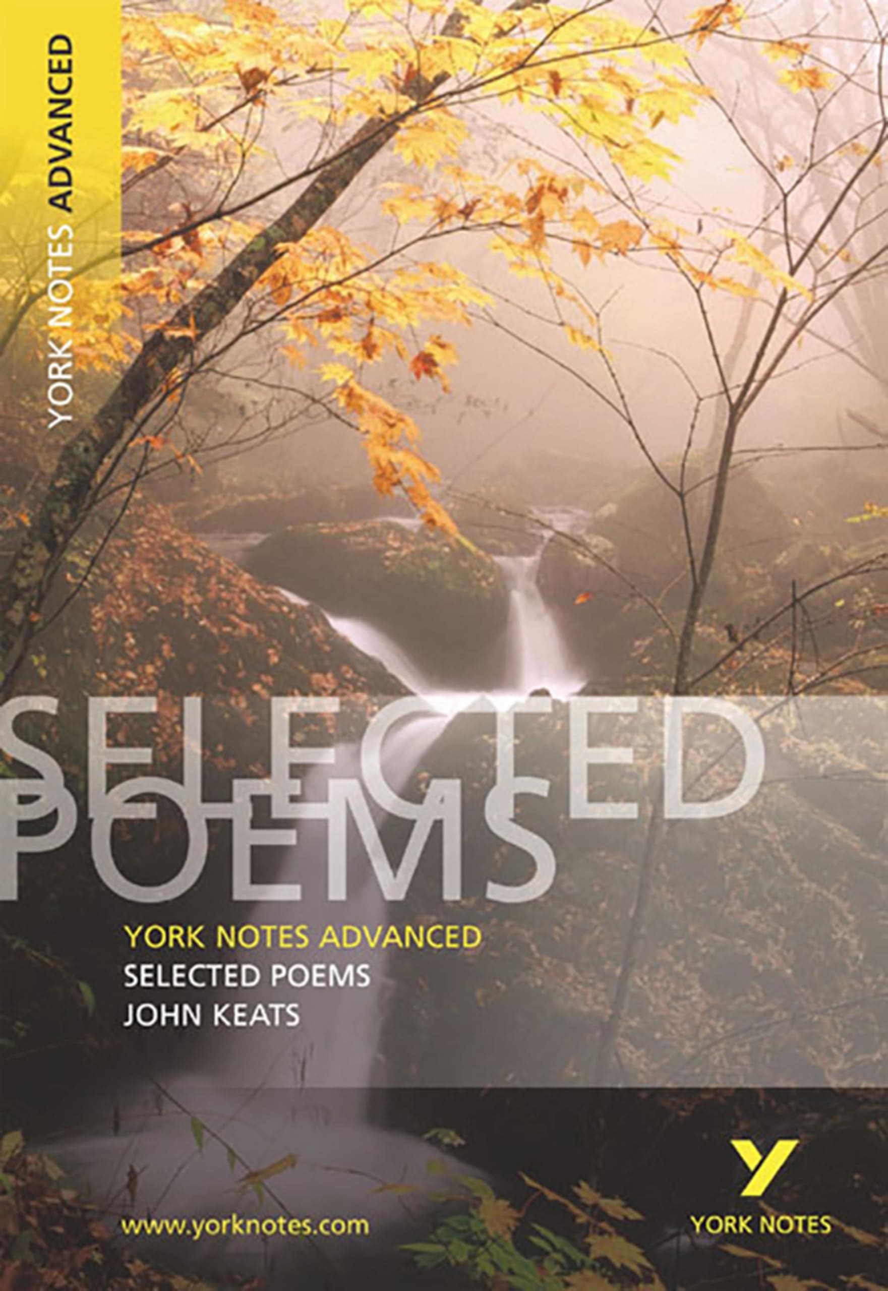 Selected Poems of John Keats (York Notes Advanced) English Literature Study Guide - for 2026, 2027 exams: York Notes Series