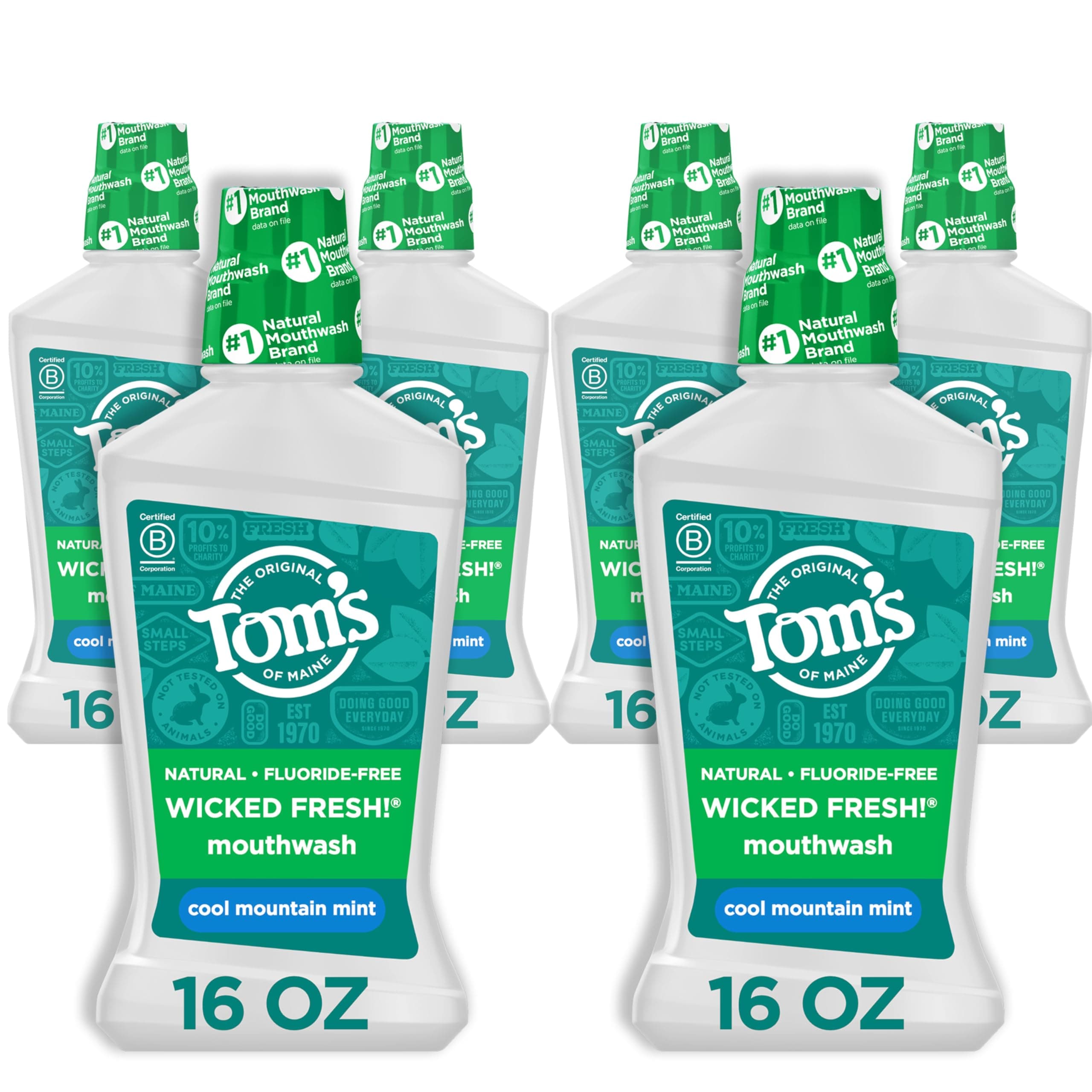 Natural Wicked Fresh Alcohol-Free Mouthwash, Cool Mountain Mint, 16 oz. 6-Pack (Packaging May Vary)