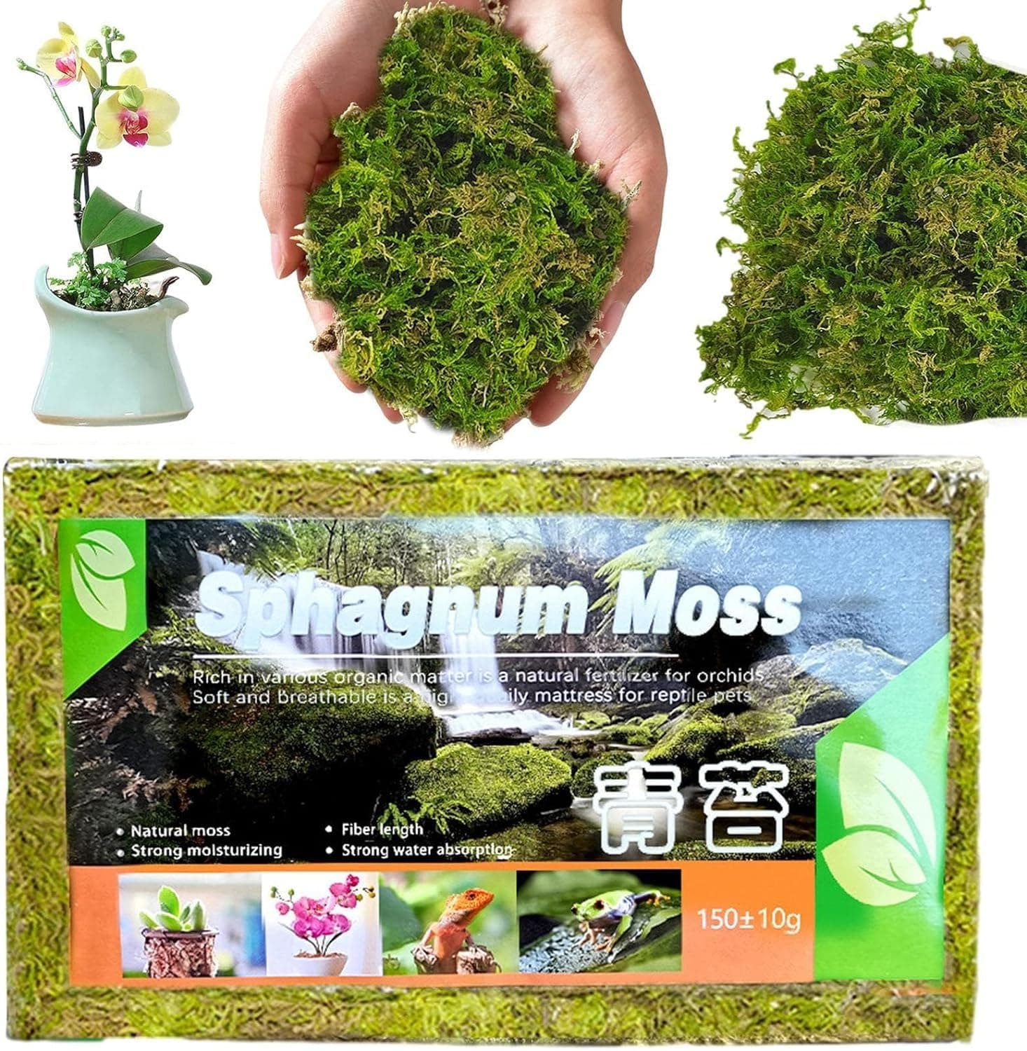 Sphagnum Moss For Plant | 150G Natural Potting Mix Nutrition Organic Fertilizer Growth, Crafts, Floral Designs, Mini Landscapes, Reptiles (1)