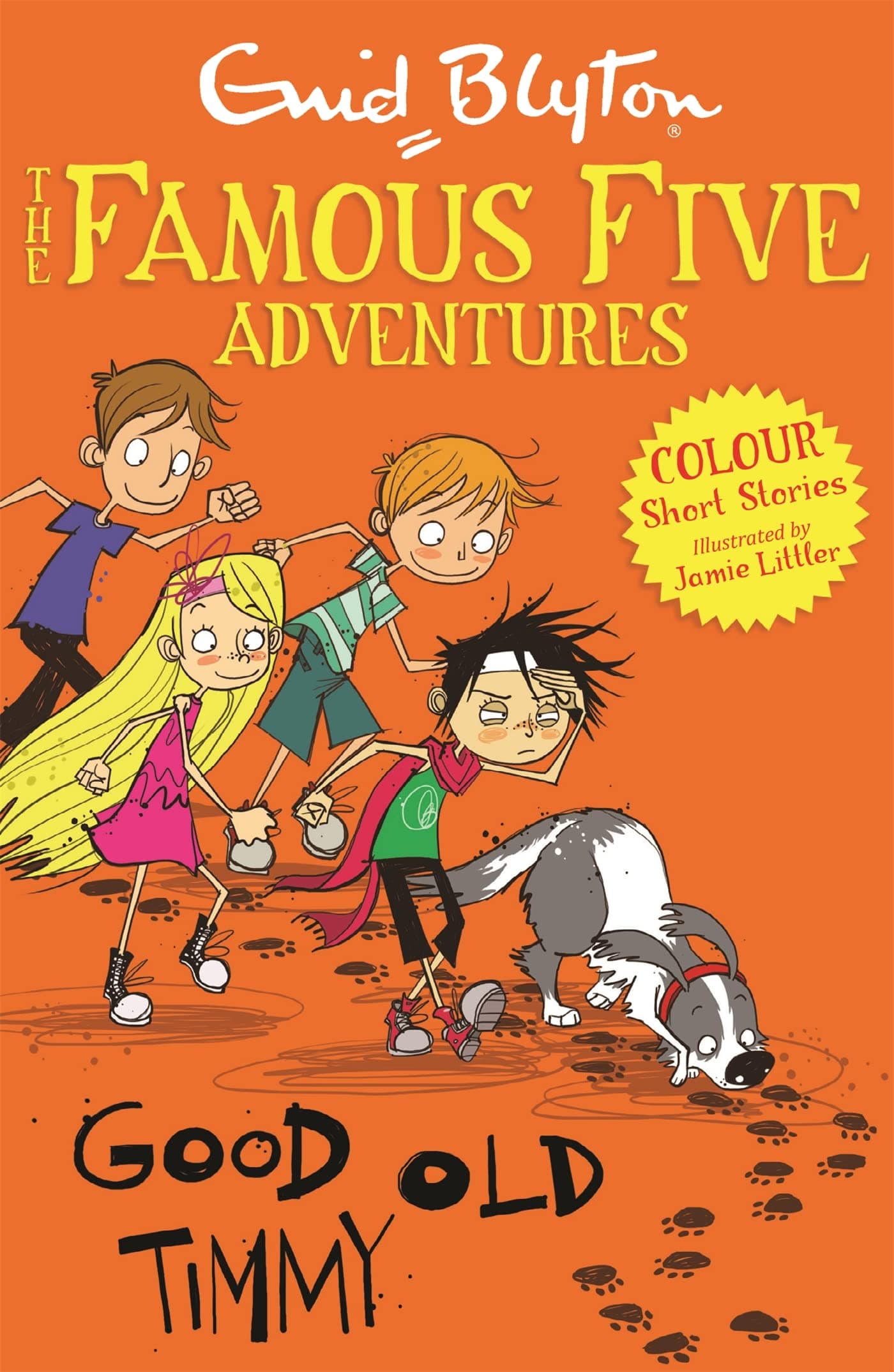 Hodder Children's Books Famous Five Colour Short Stories: Good Old Timmy