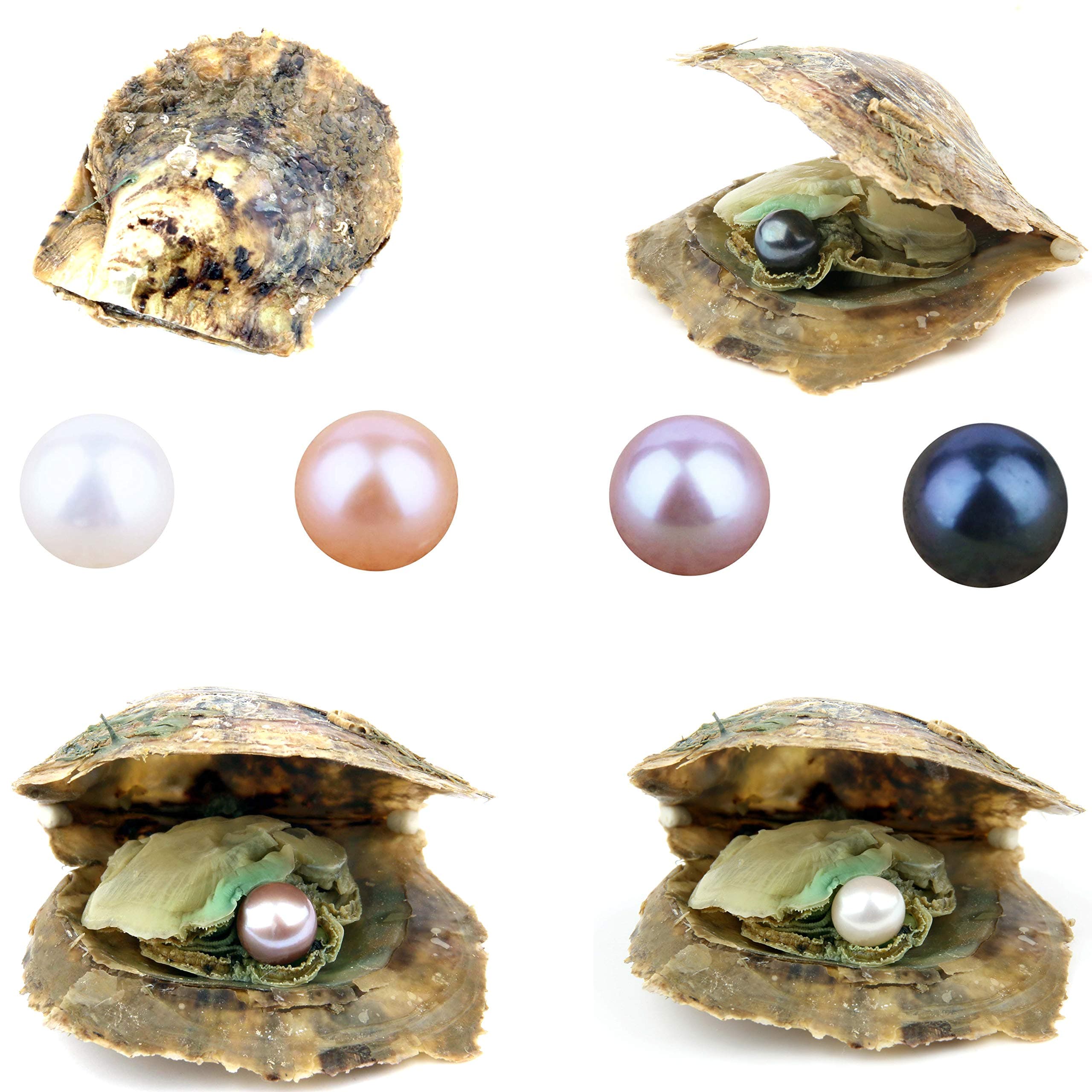 4PCS Saltwater Akoya Cultured Pearl Oyster with Round Pearl (6.5-7.5mm) Inside Jewelry Making or Birthday Gifts (4 Colors)
