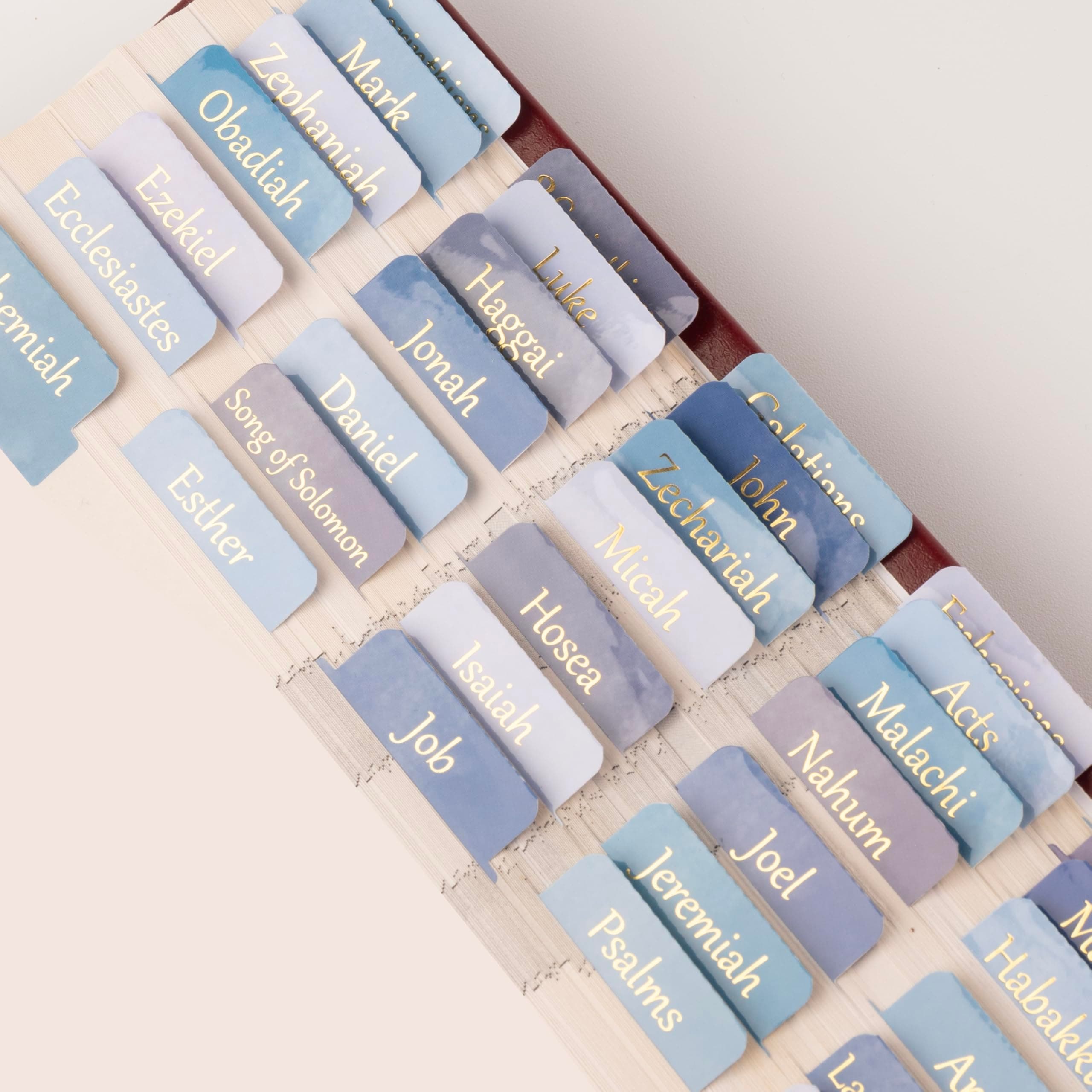 Lumintutu Laminated Bible Tabs, Gold Foil Large Print Bible Study Journaling Supplies, Christian Gift for Women and Men, Index Tabs for Old and New Testament, She Reads Truth Bible (Watercolor Blue)