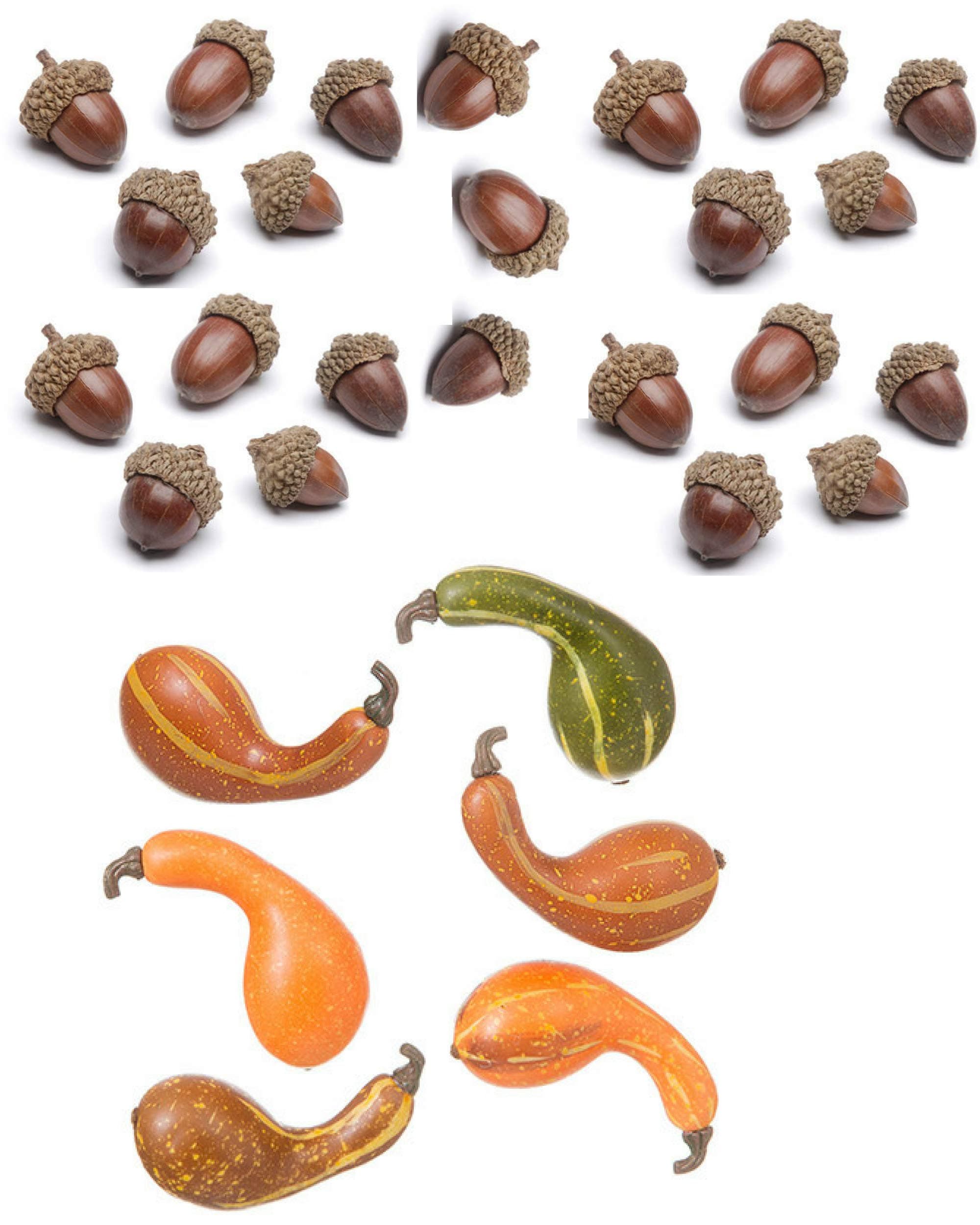 Fall Harvest Decorations Mini Gourds and Acorns Table Scatter Vase Filler Autumn Decor (2 Pack)