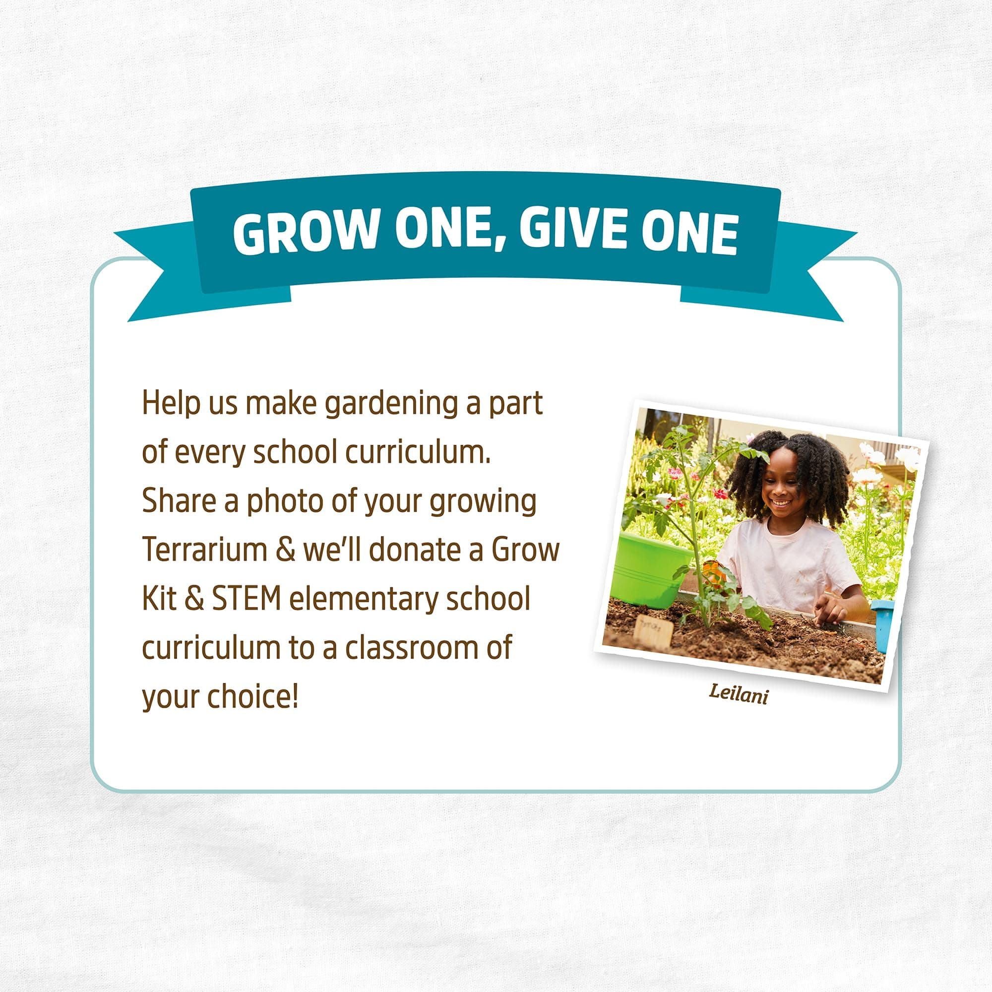 Back to the Roots STEM Certified Kids Terrarium Grow Kit - Easy-to-Use DIY Set for All Ages Small