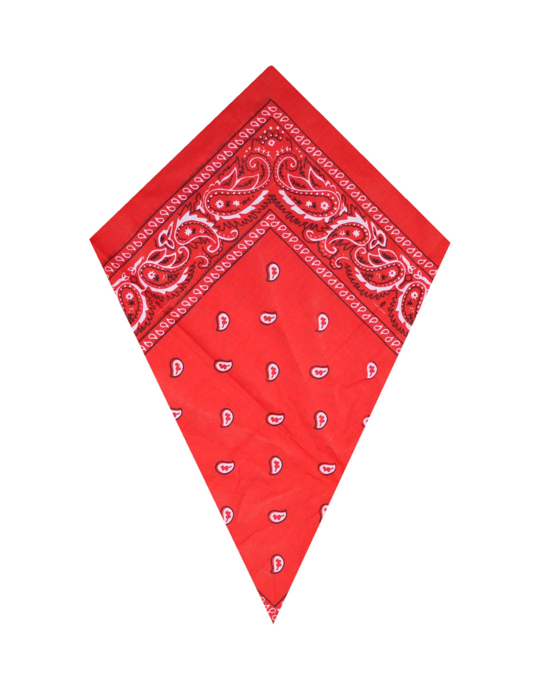 Bandanas Red Paisley Head Scarf