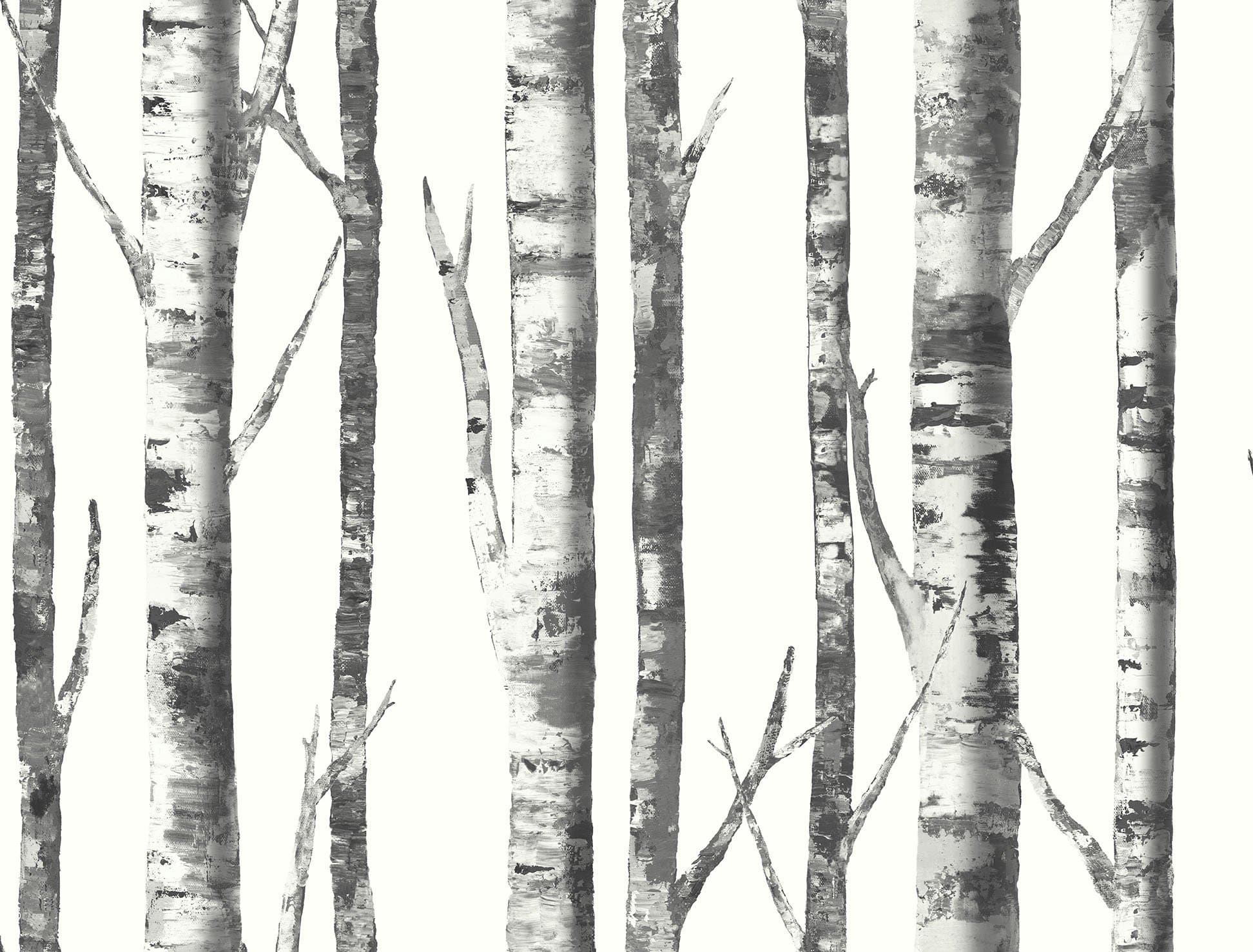 Birch Tree Wallpaper. Modern Nature. (White, Charcoal, Black)