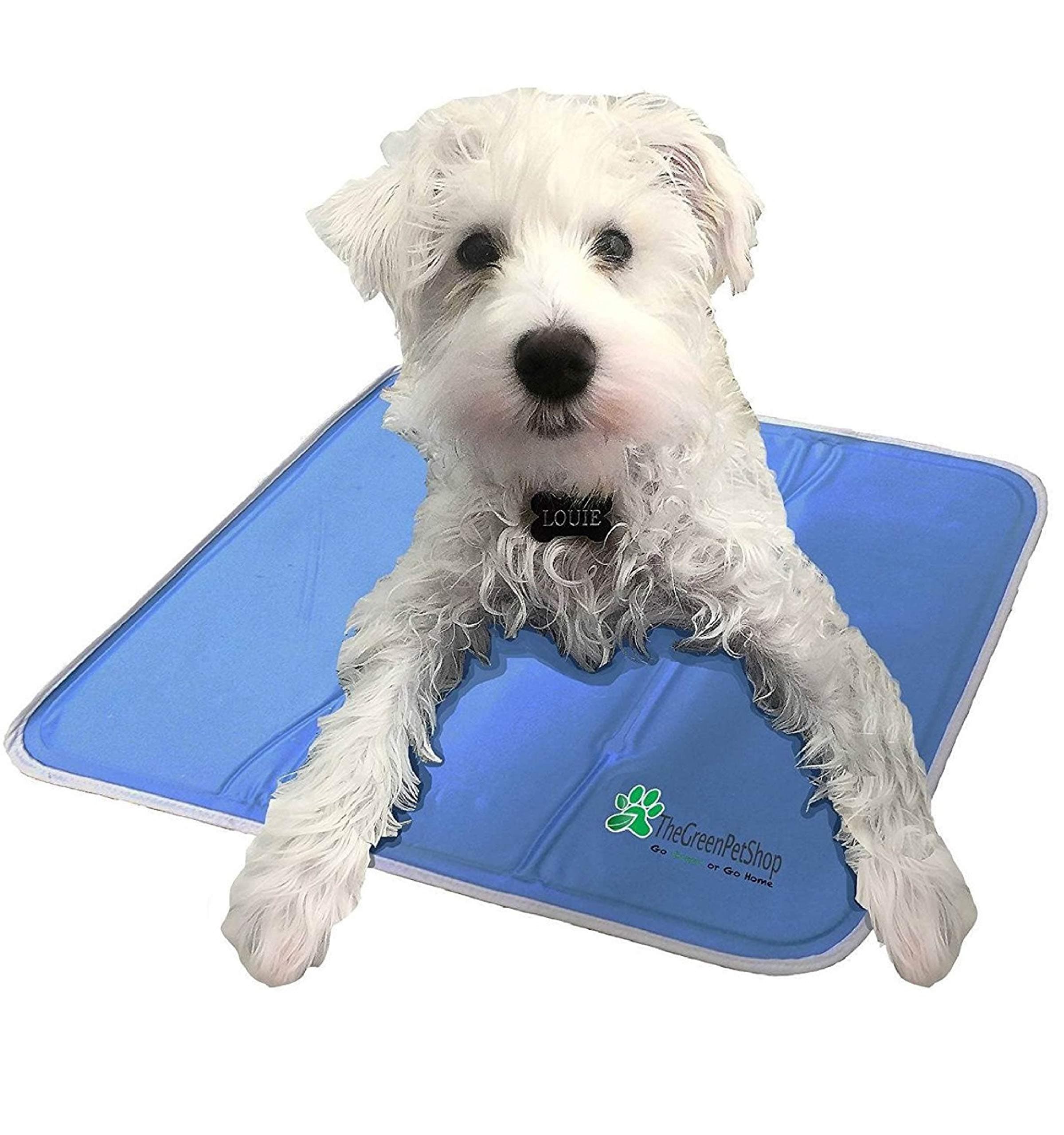 The Green Pet Shop Dog Cooling Mat - Pressure-Activated Gel Cooling Mat For Dogs, Medium Size - This Pet Cooling Mat Keeps Dogs and Cats Comfortable All Summer - Ideal for Home and Travel