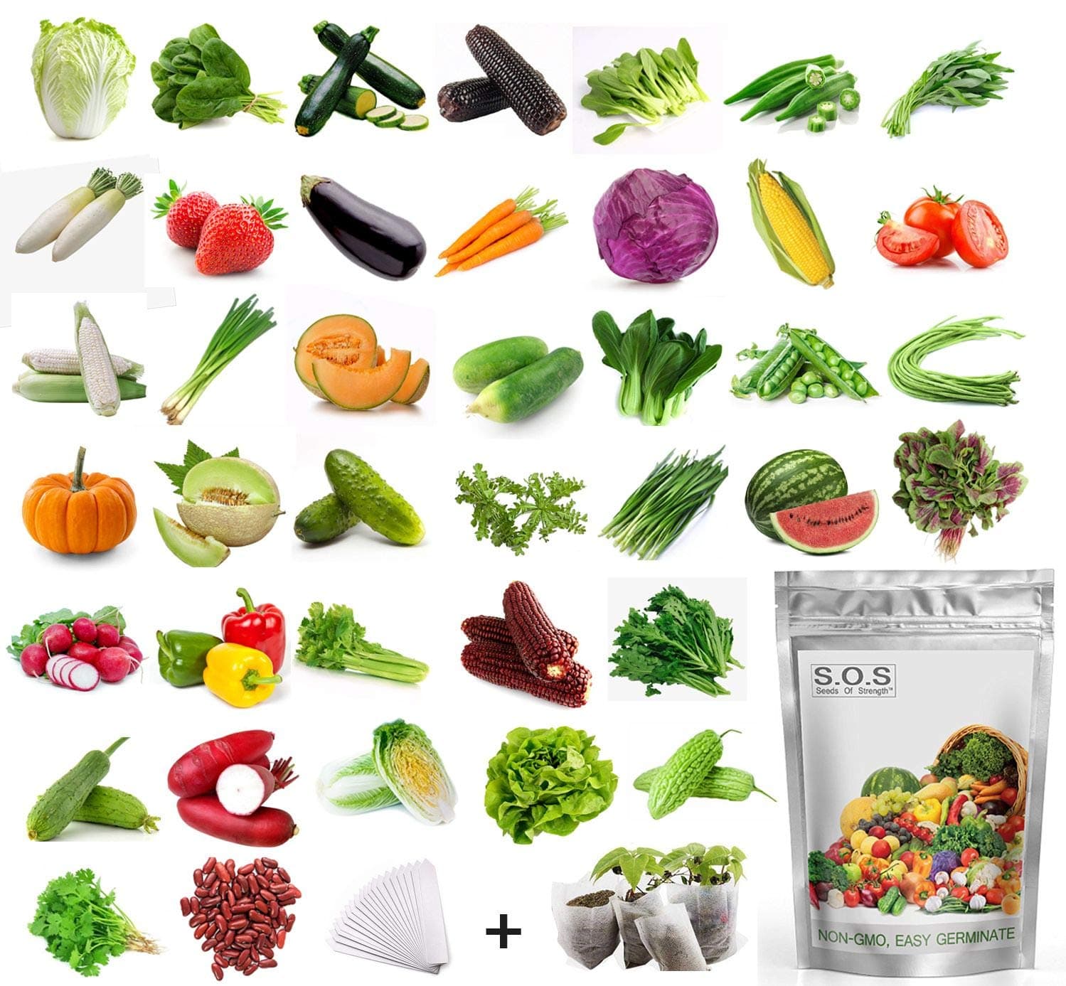 11,000 + Organic Seeds Vegetable Fruit Seeds Emergency-Survival Garden Food Outdoor Living (40 Variety)