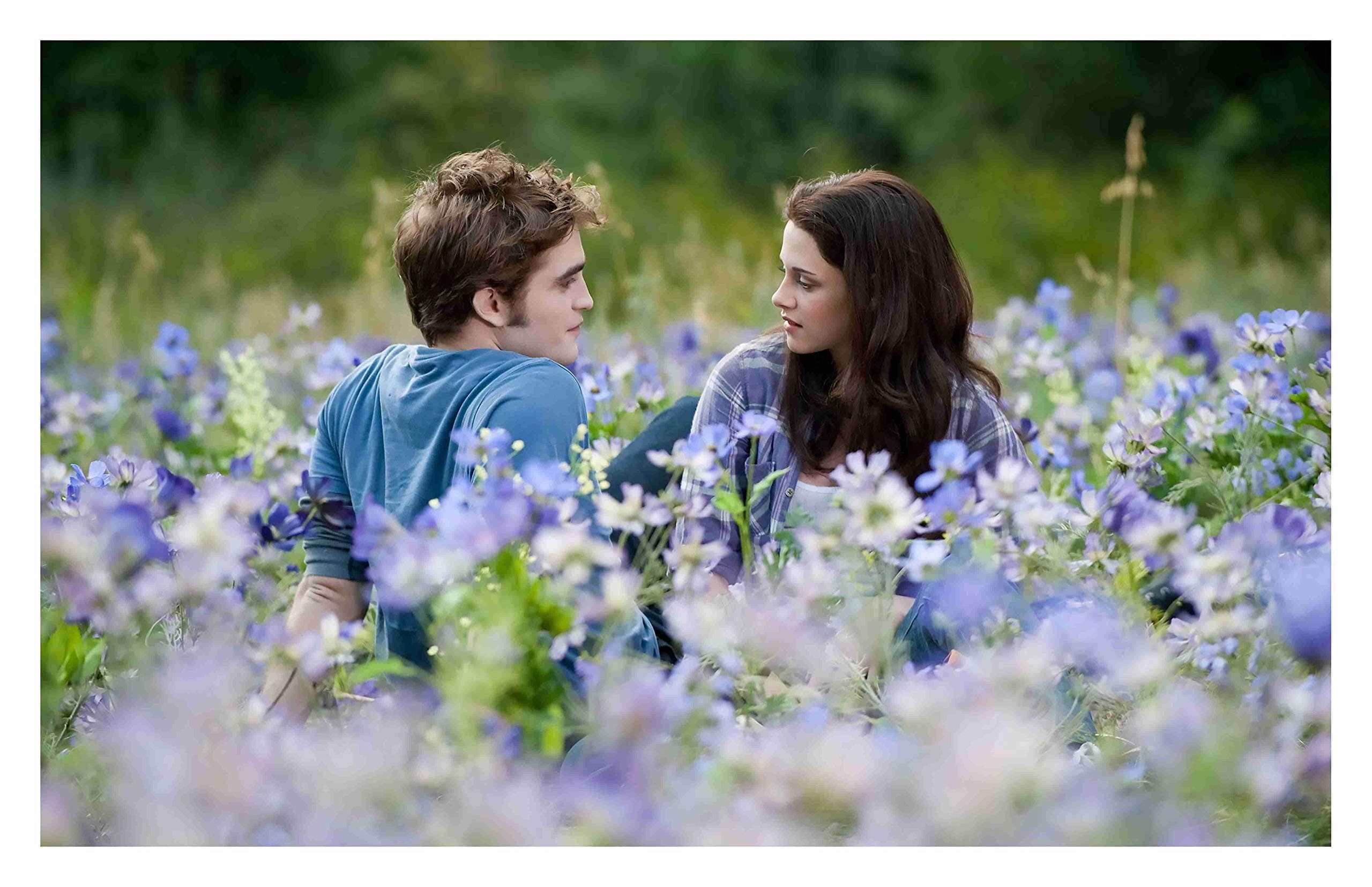 BALDAU PRINTS The Twilight Movie Wall Poster for Room (Gloss Laminated, 12X18 Inch, 300 GSM) M20