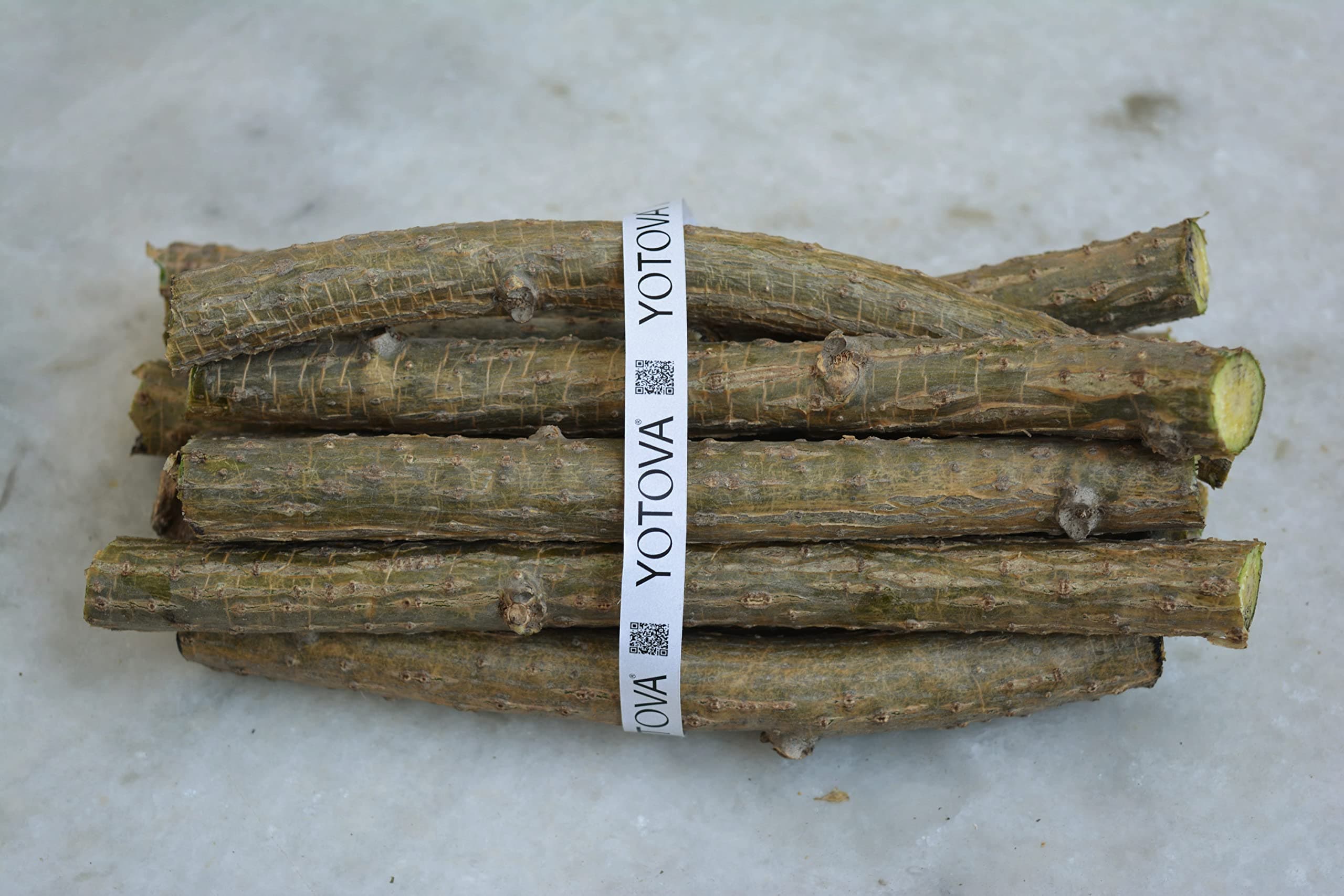 YOTOVA Natural Neem Tree Giloy Guruch Gulvel Guduchi Fresh Plant Sticks Bel Tinospora Cordifolia Plant Stems (6-inch) Set of 10 Stems