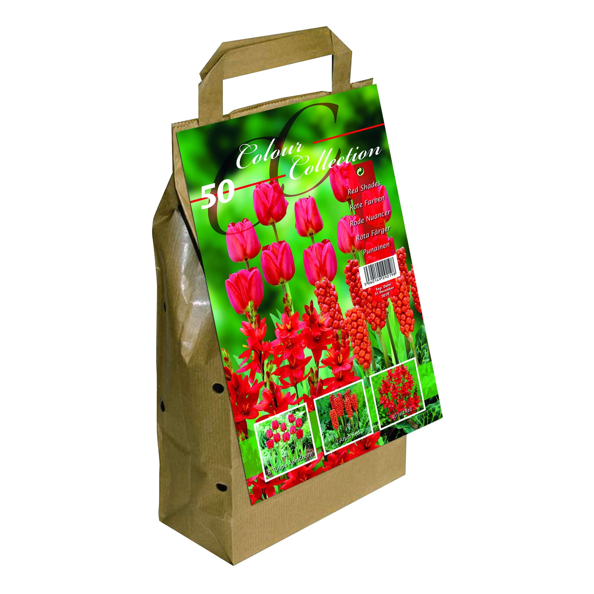 Colour Collection Spring Flower Bulbs - Red (Pack of 50)