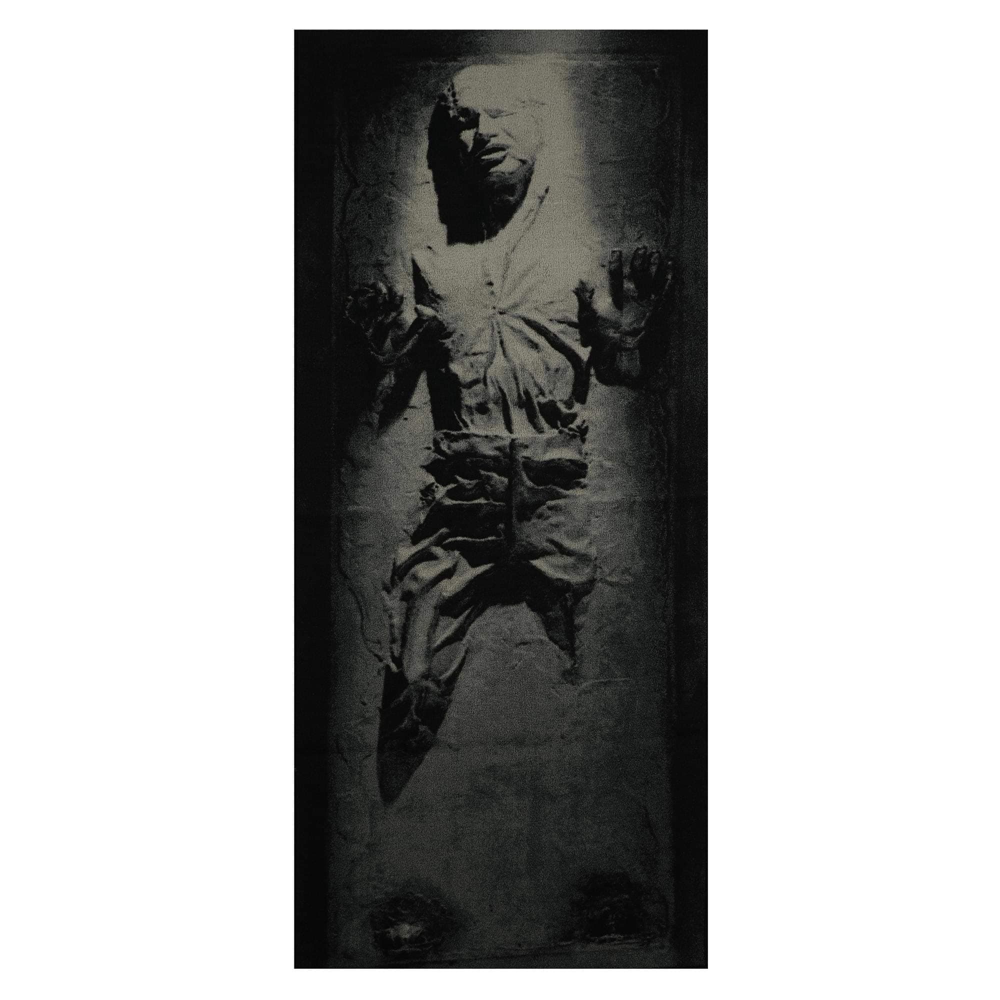 Han Solo in Carbonite Area Rug for Living Room | 32 x 72 Inches