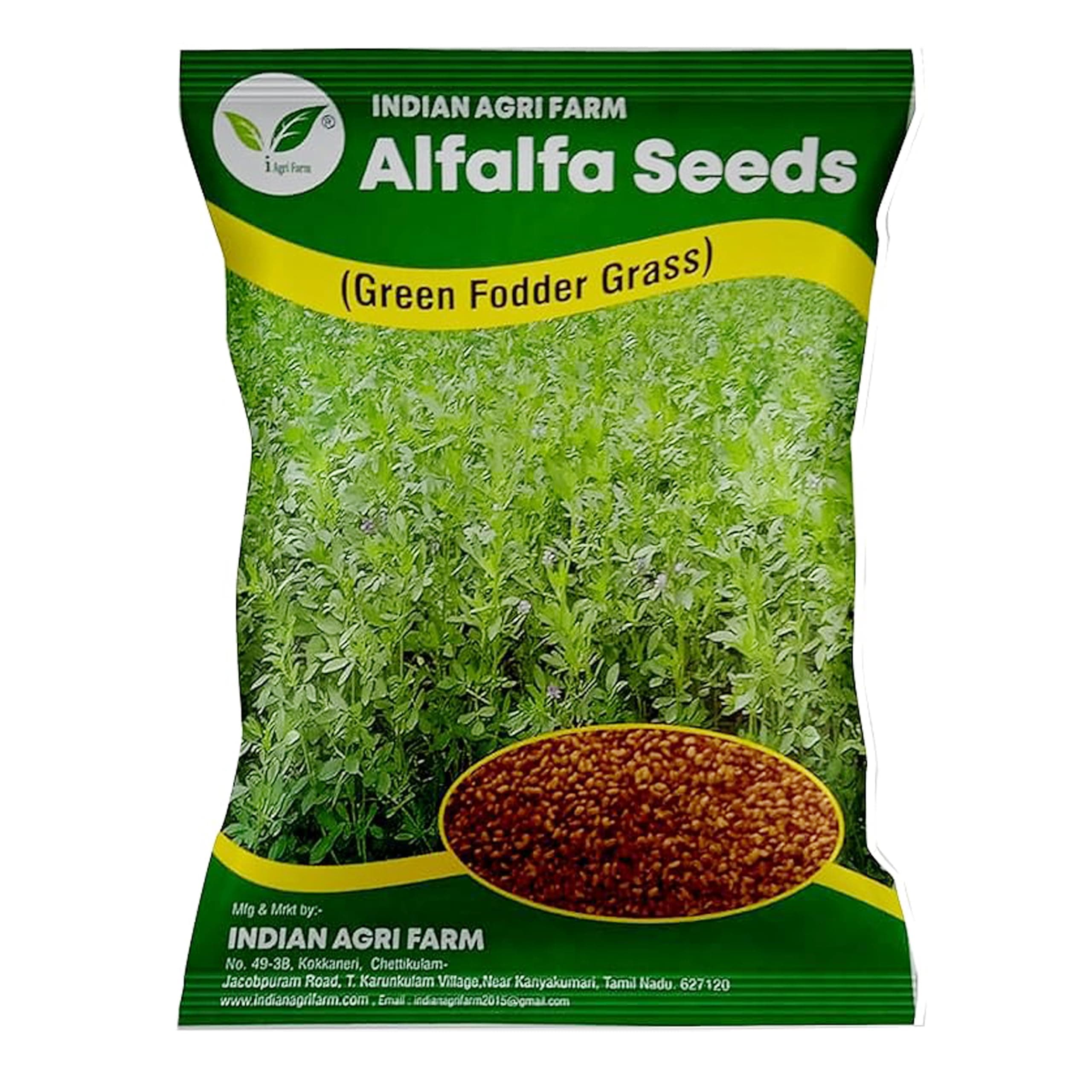 Alfalfa/Lucerne/kuthirai Masal Seeds -250 gram For Fodder Cultivation