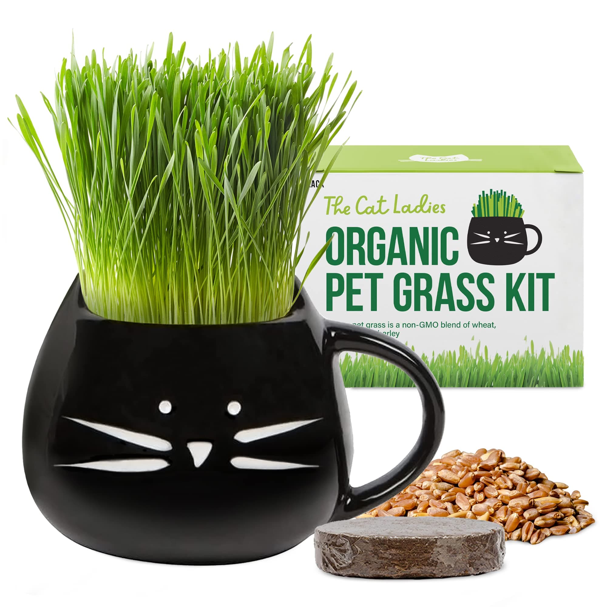 Organic Cat Grass Growing Kit