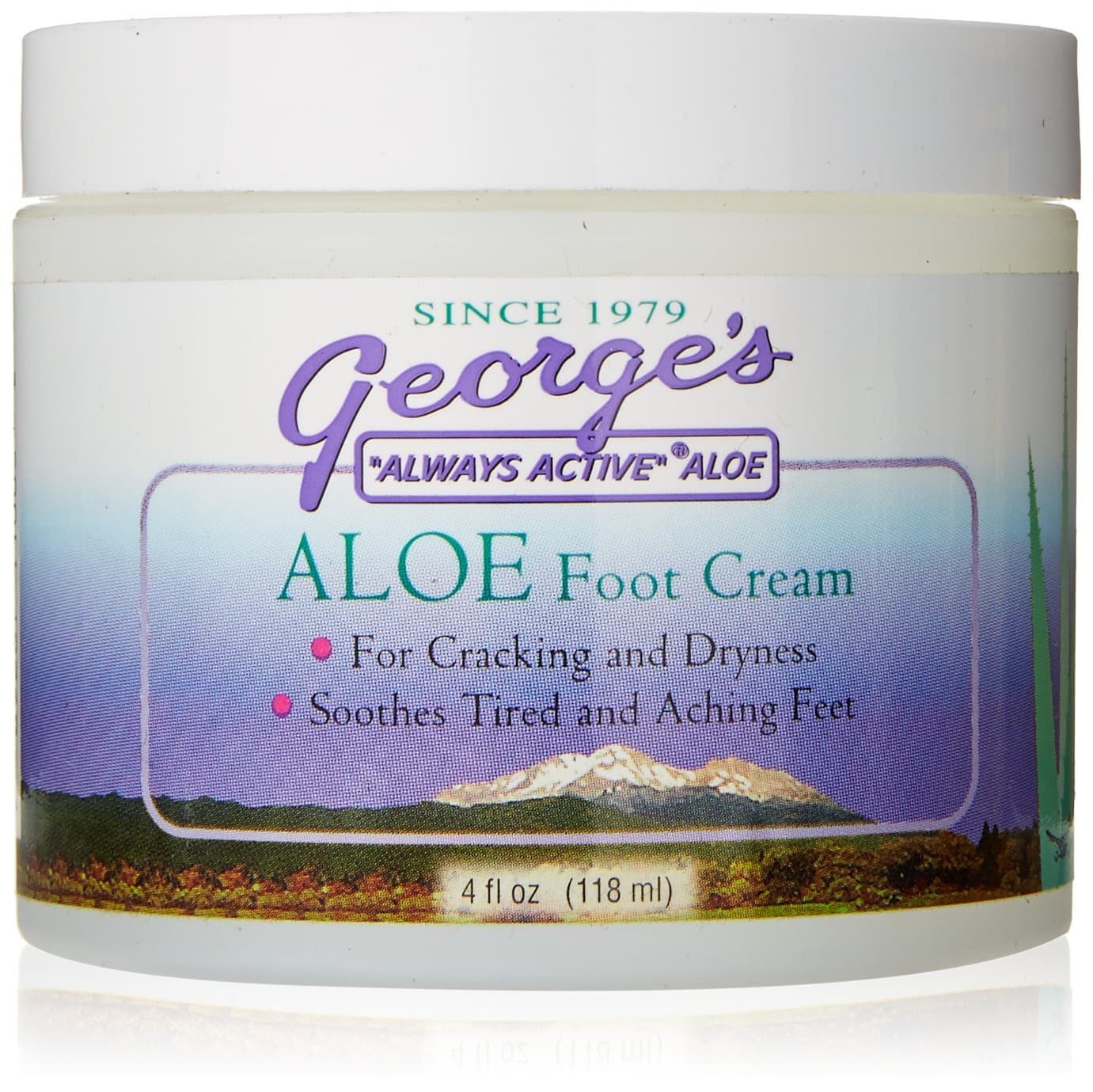 FantasiaGeorges Aloe Foot Cream, 4 Ounce