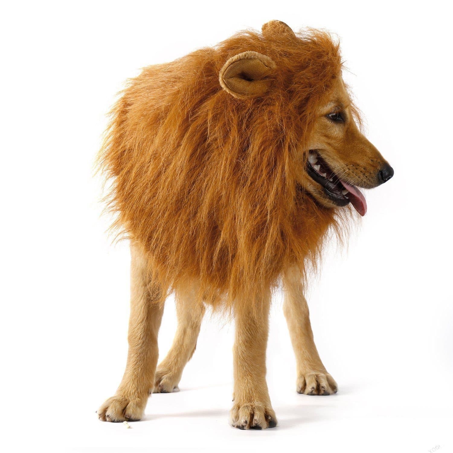 E-JIAEN Dog Wig Lion Mane for Costume