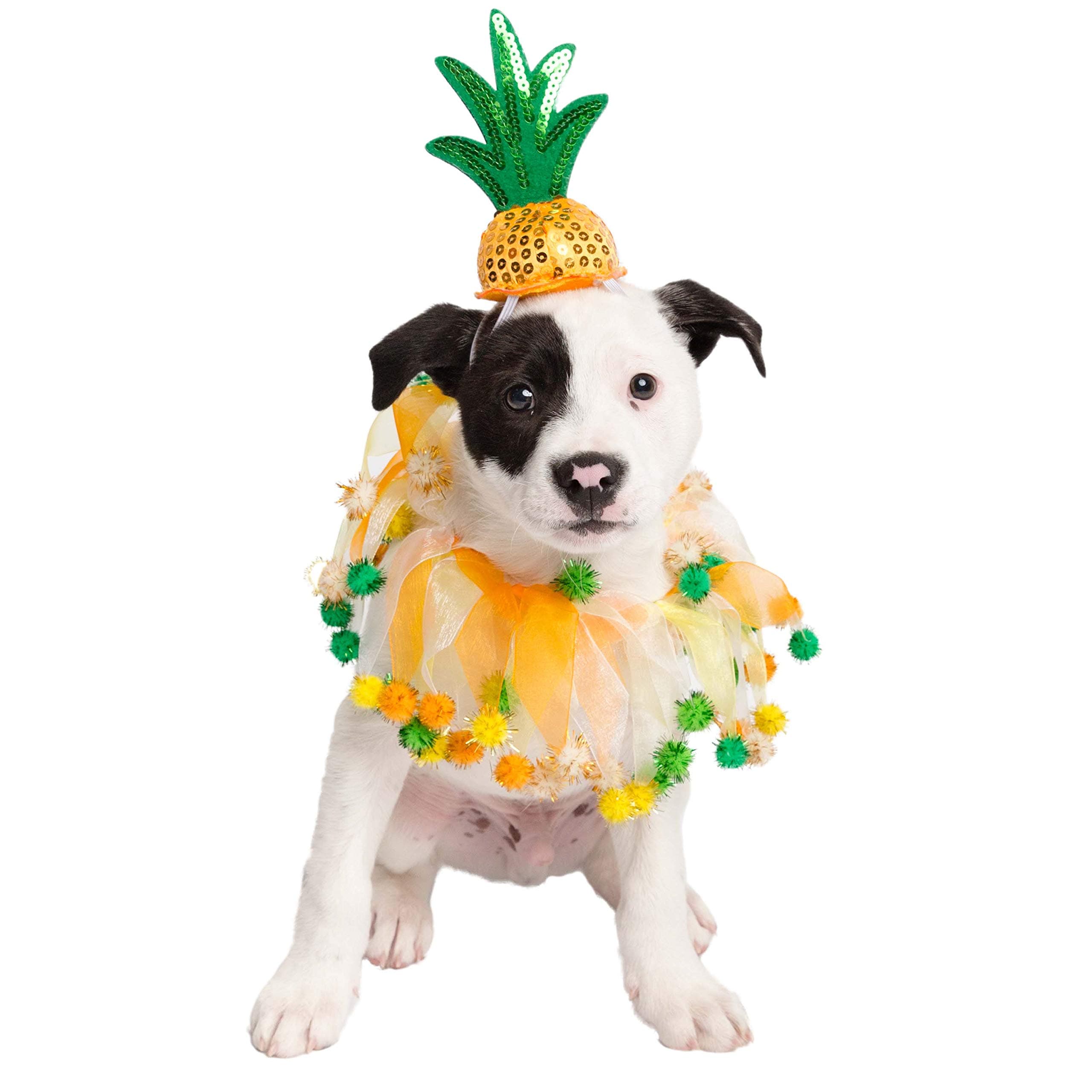 Pet Krewe Pineapple Hat and Collar Fits Dogs Size Small, Medium, Large or Extra Large - Perfect for Halloween, Parties, Photoshoots, Gifts for Dog Lovers (L)