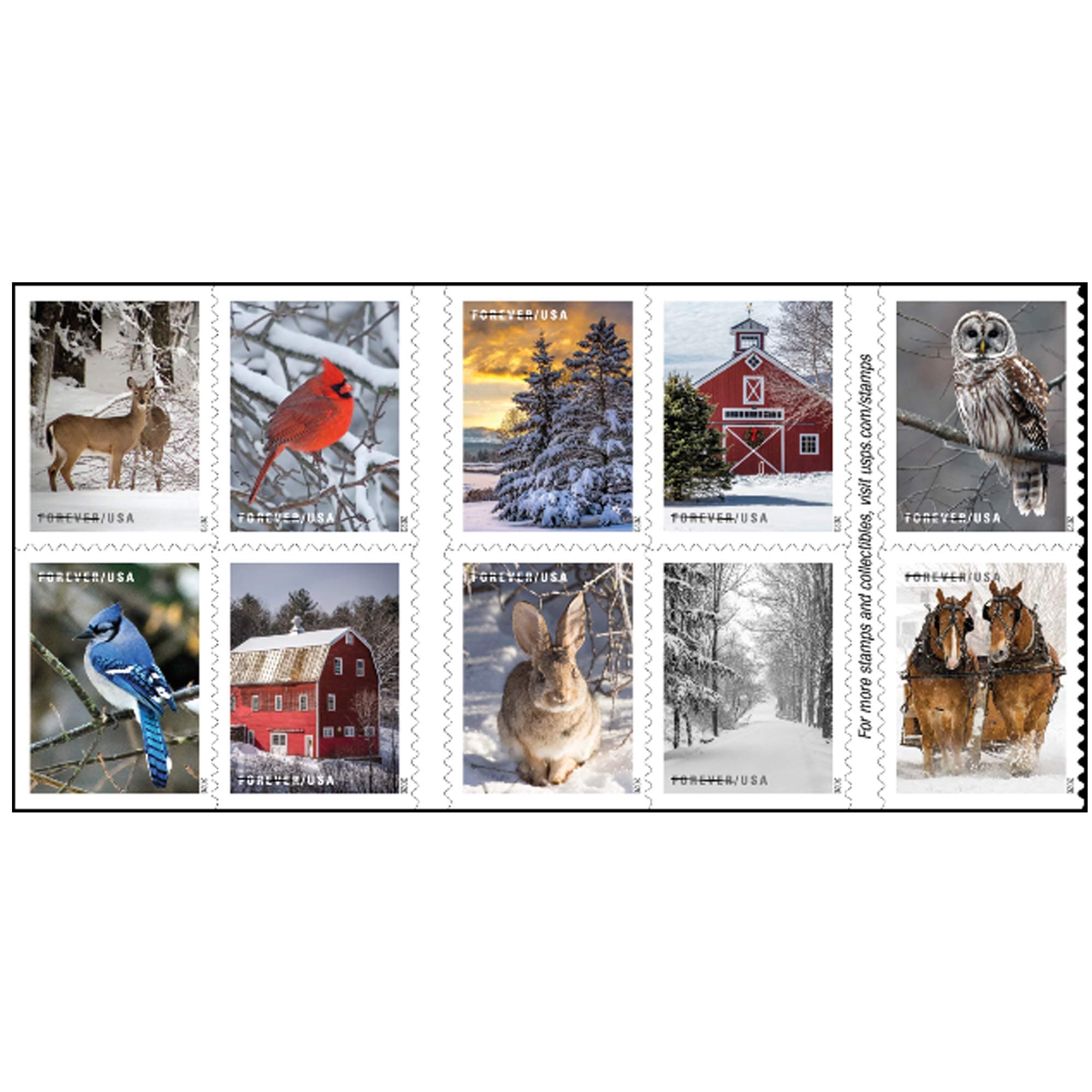 USPS Winter Scenes Forever Postage Stamps Book of 20 First Class US Holiday Celebrations Wedding Celebration Anniversary Traditions (20 Stamps)