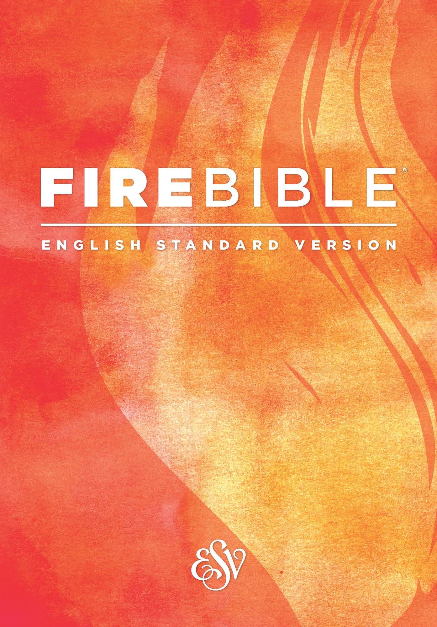 Holy Bible: Fire Bible, English Standard Version Paperback – 1 January 2014