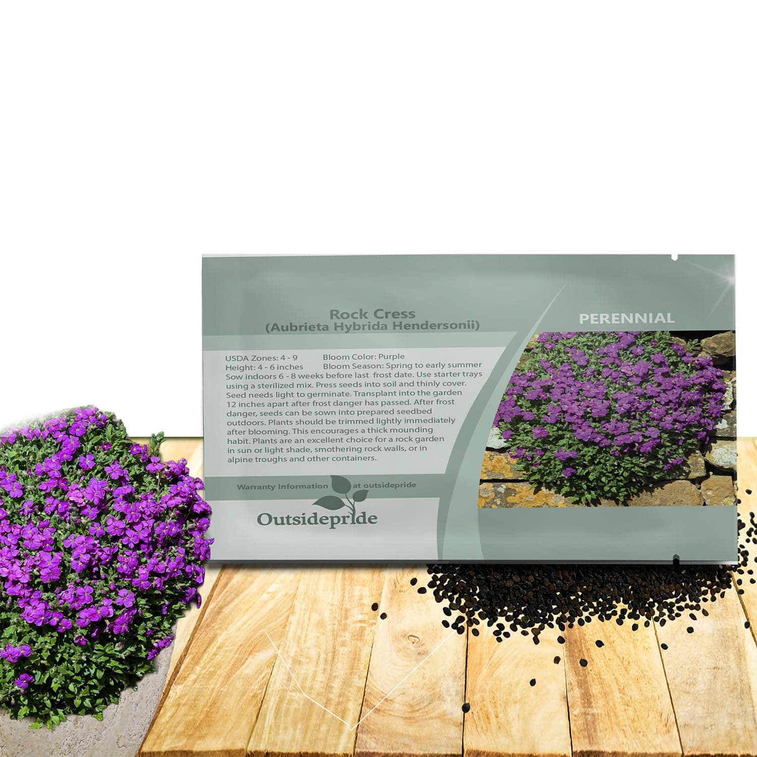Outsidepride Hendersonii Purple Aubrieta Rock Cress Seeds - 5000 Pcs Perennial Flower Seeds, Easy to Grow, Low Maintenance, Cascading & Low Growing, for Baskets, Rock Walls, or Ground Covers