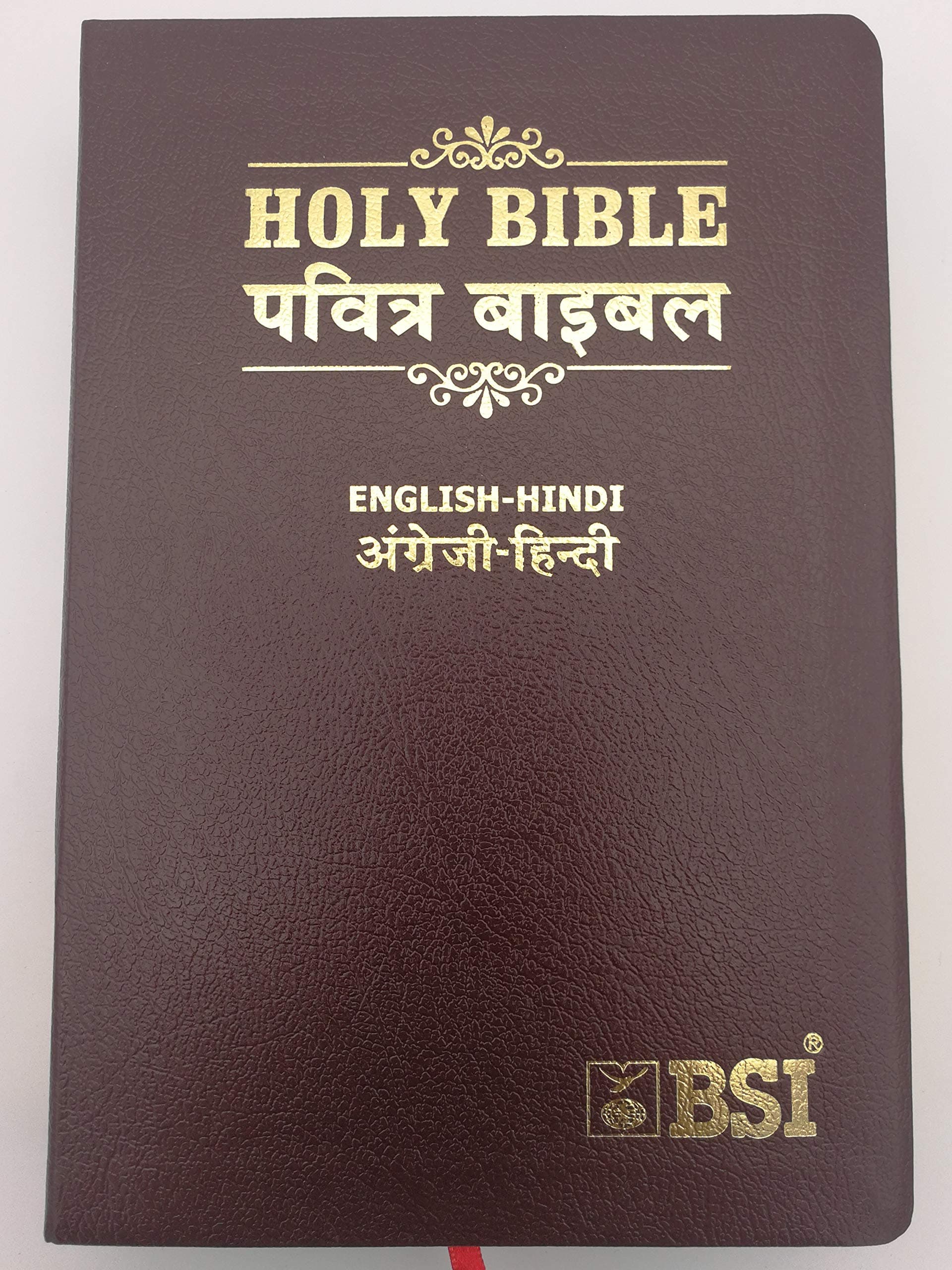 English-Hindi Bilingual Holy Bible, Royal Size Glided Black Leather: English Standard Version ESV – Hindi O.V. Re-Edited