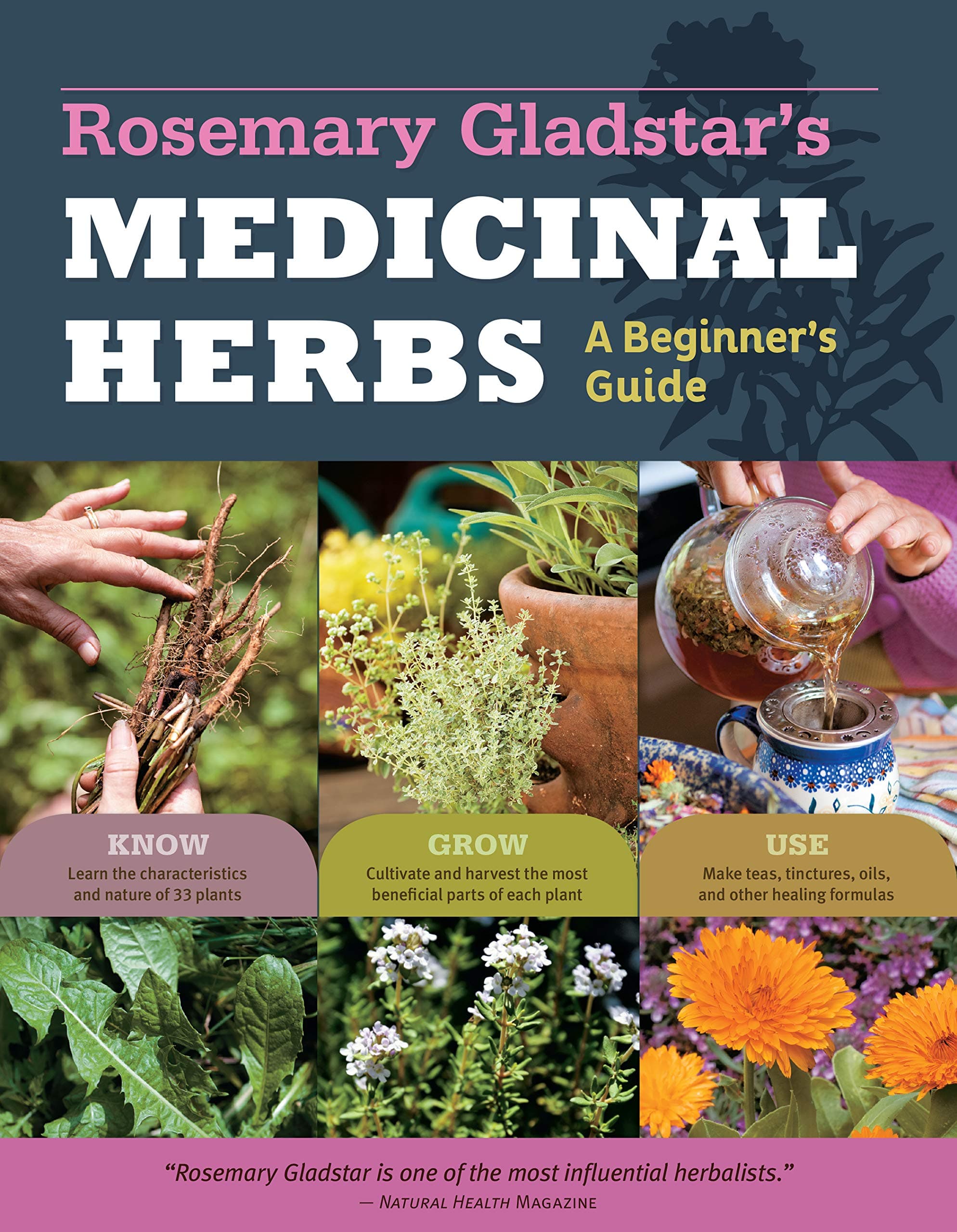 Rosemary Gladstar's Medicinal Herbs: A Beginner's Guide: 33 Healing Herbs to Know, Grow, and Use Paperback – Illustrated, April 10, 2012
