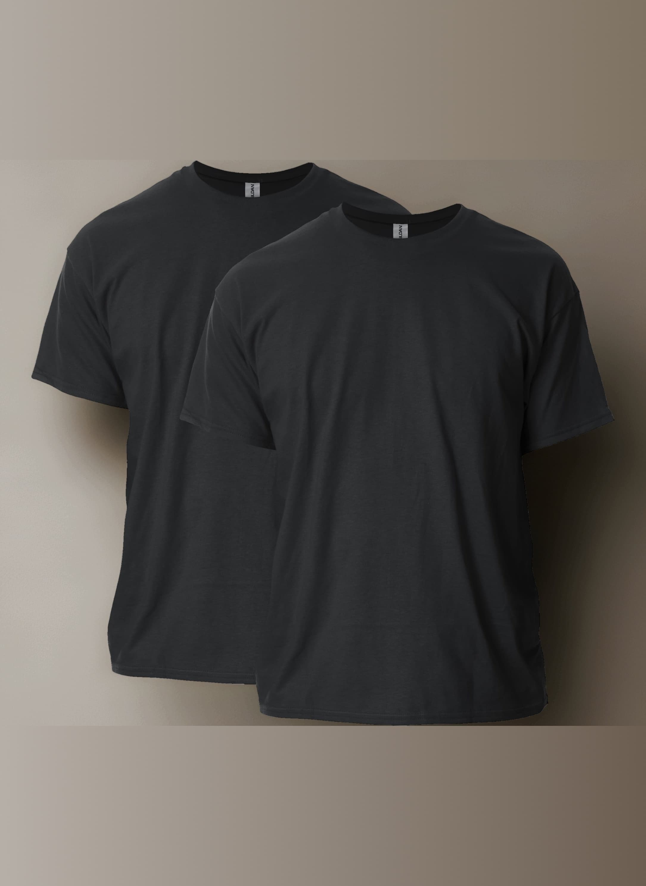 Men's Cotton T-Shirt (Pack of 2)