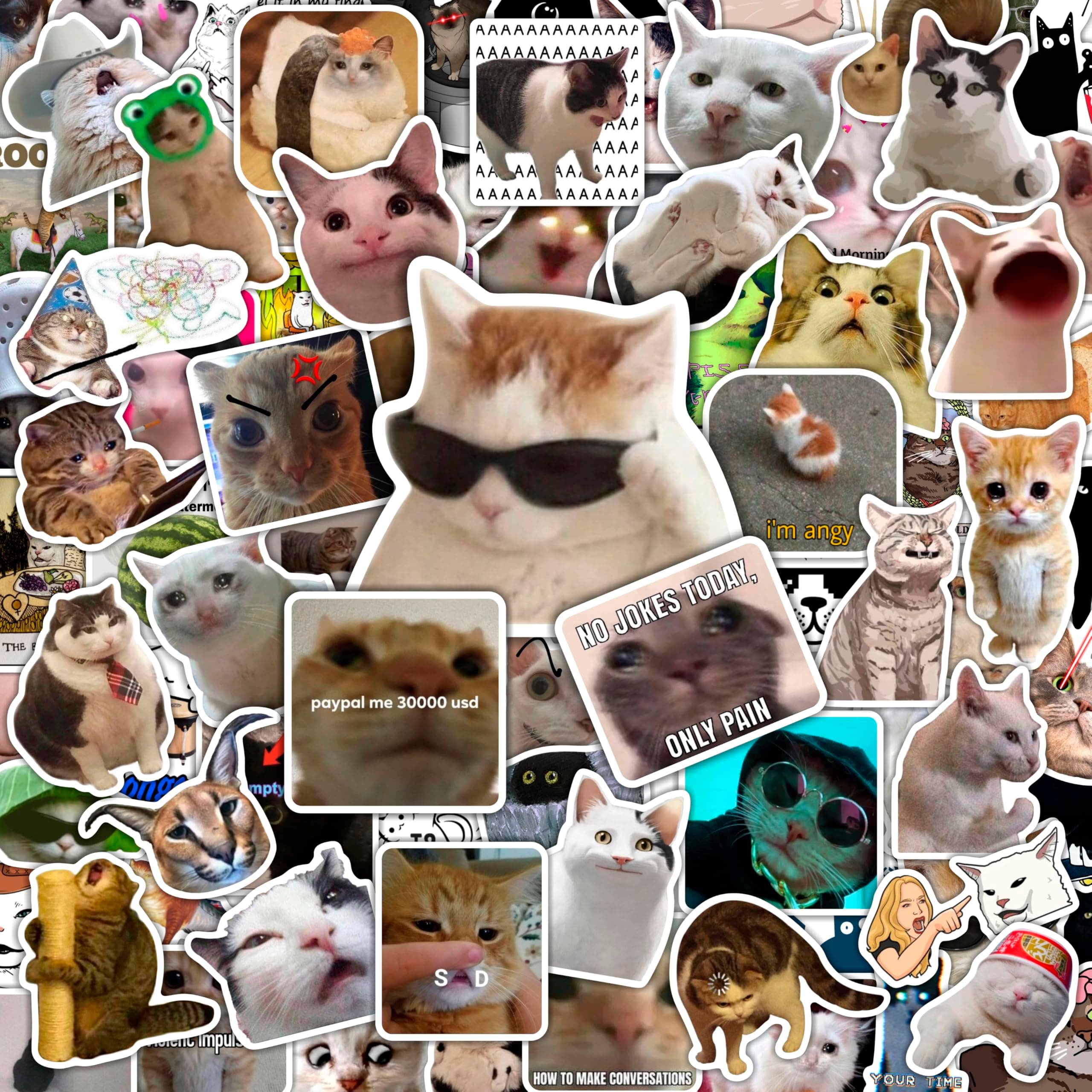 BulbaCraft 100Pcs Cat Meme Stickers - Funny Cat Stickers, Gifts for Women & Men