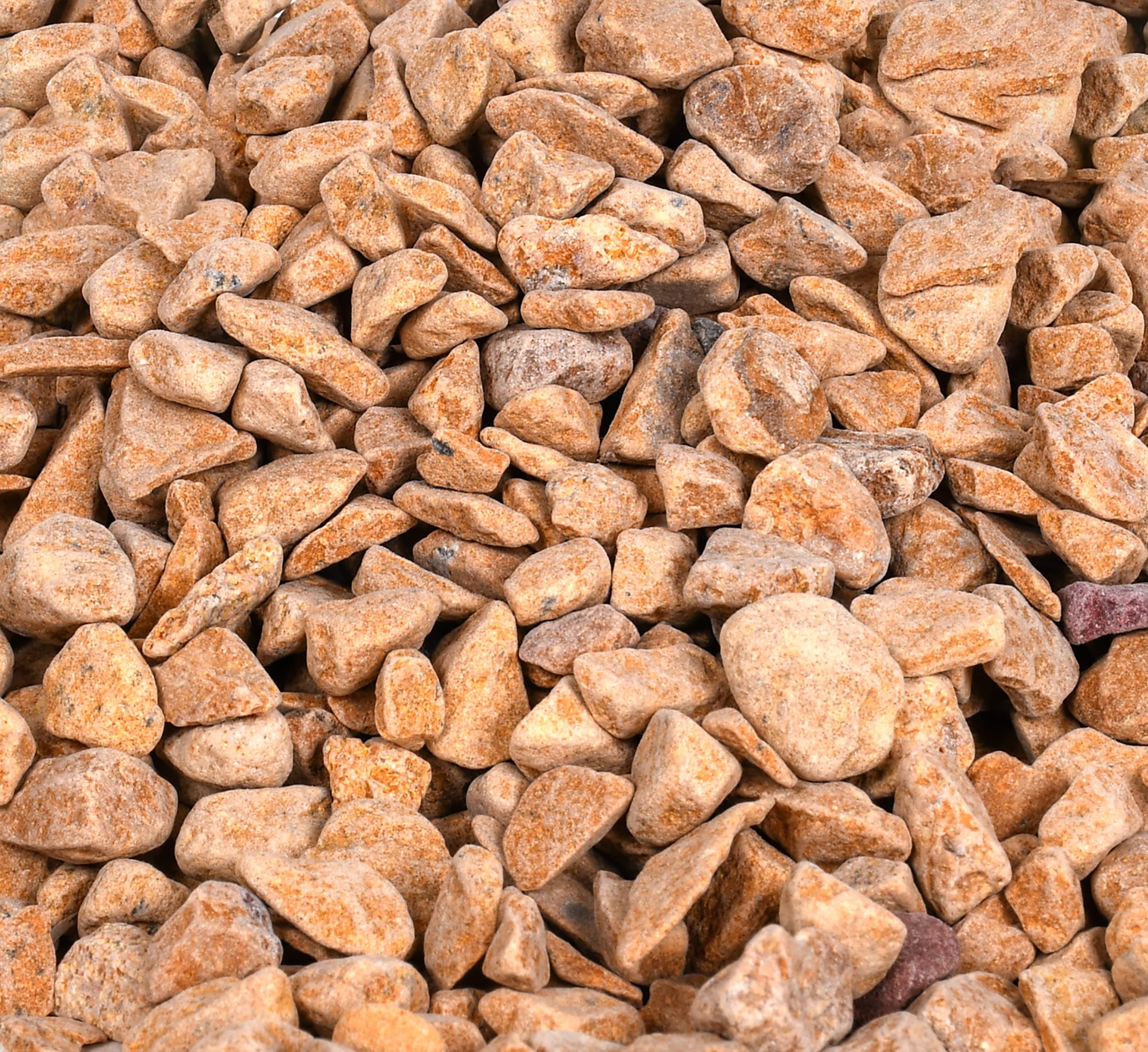 HINS Sawdust Decorative Stones For Home and Garden Decor, Aquarium Substrate, (4.9 Kg, Cream) Vase Filler Stones for Decoration Sharp Pebble Colour Full For Aquarium Pables Decoration Coloured Decorative Fillers Garden Plants Colourful Pebbles Chocolate Fish Colourfull Stone Decorative Stone Pebbles Glass Marbles for Vases Pabbles Pebbles I