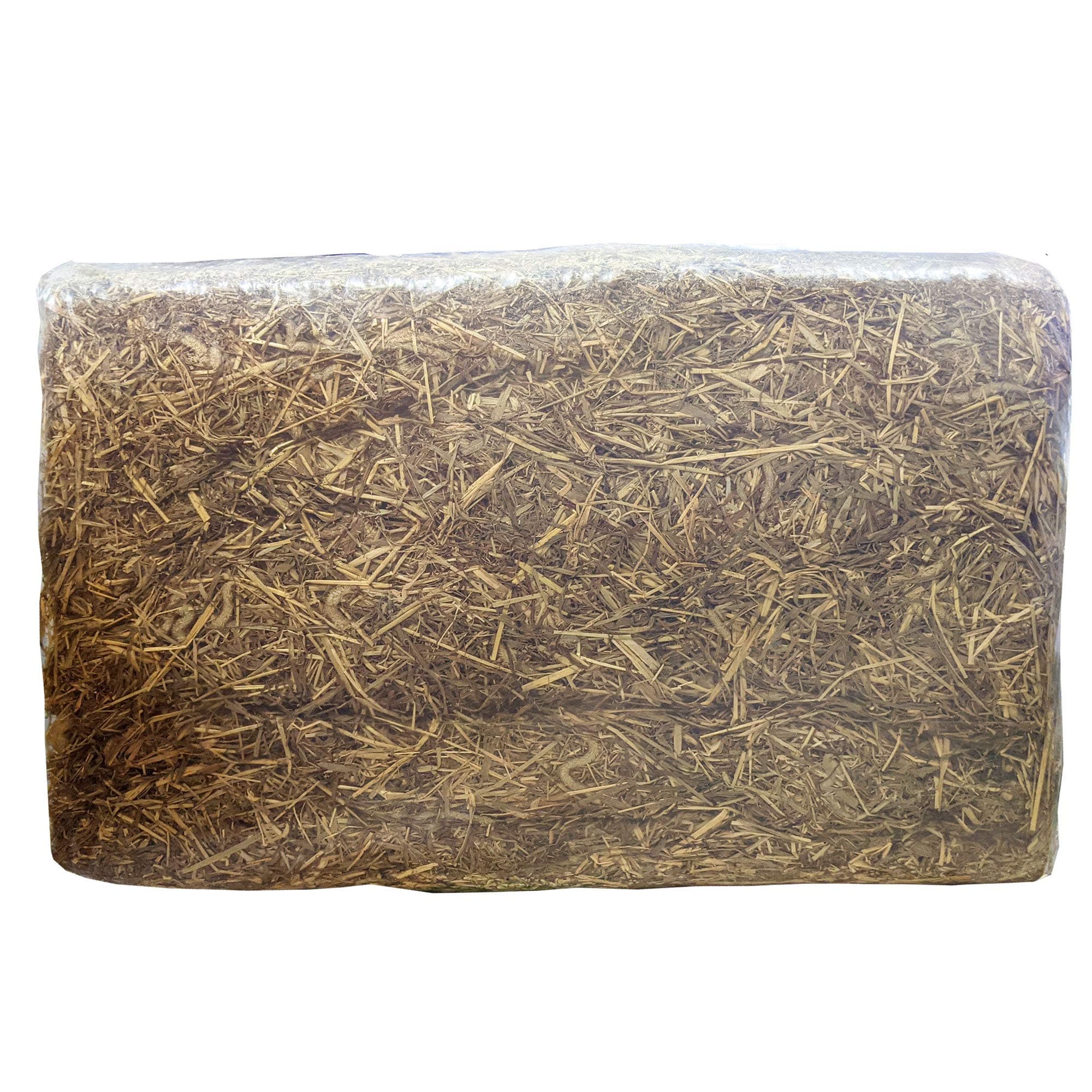Hay Bale 10Kg - Horse Hay Bale