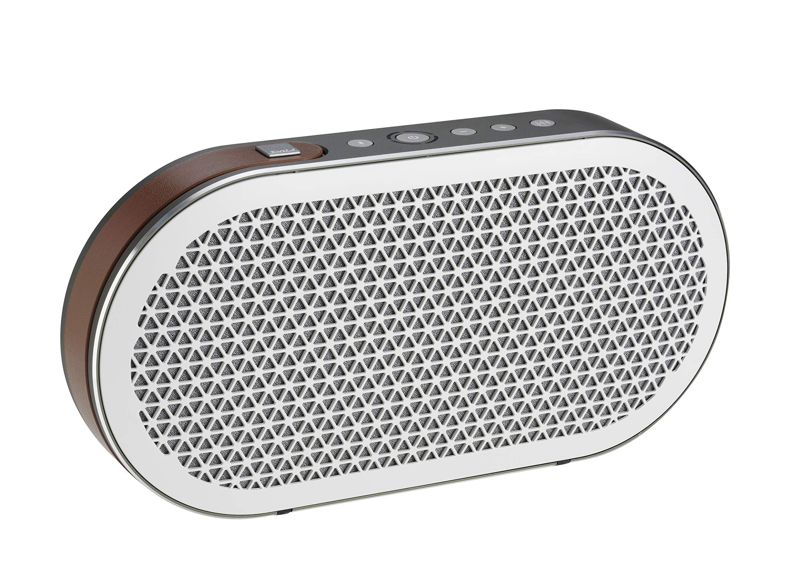 Dali Katch Universal On the Go Bluetooth Speaker - Grape Leaf