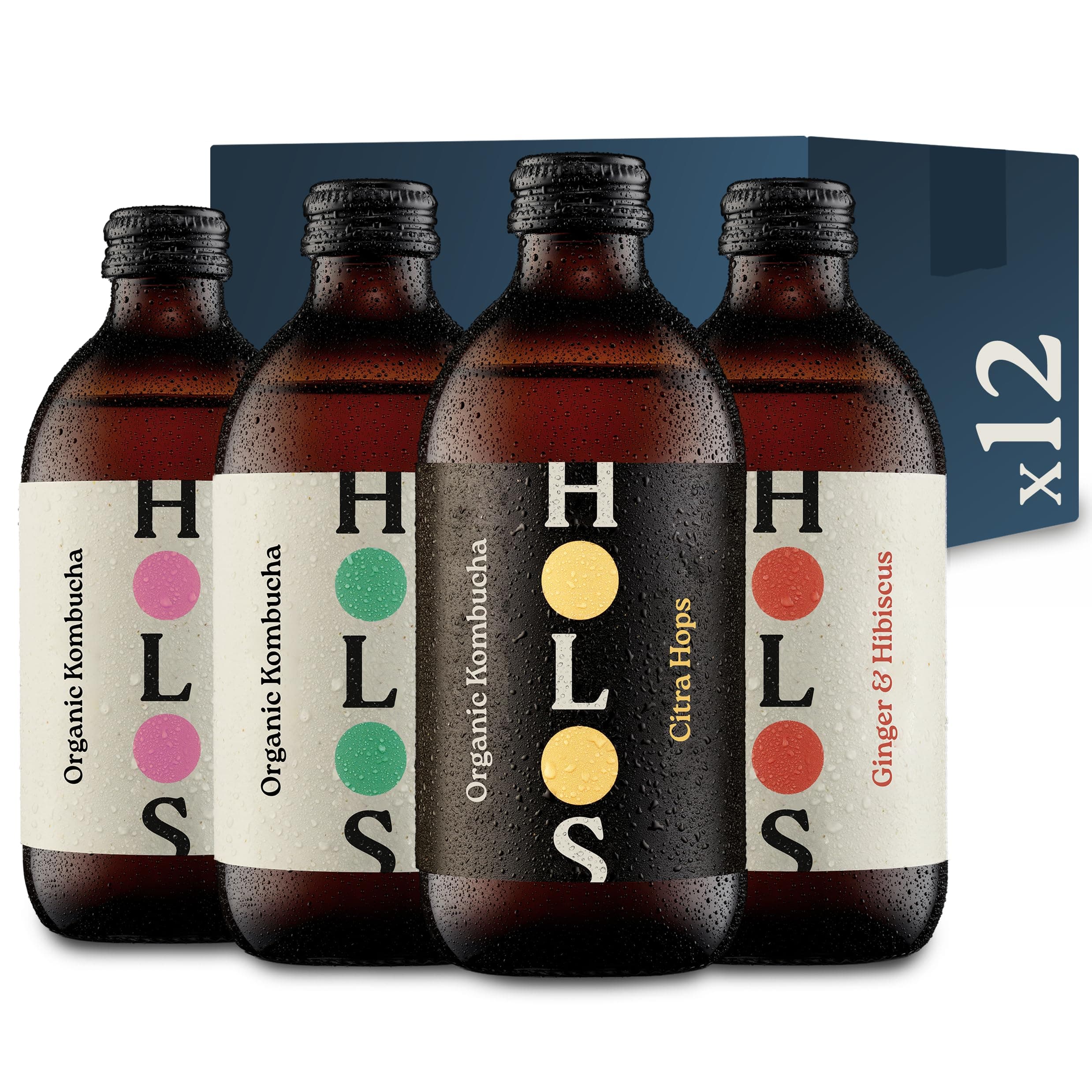 Kombucha Drink Mixed Case - Organic Kombucha Tea - Chilled, Unpasteurised Raw Kombucha - Vegan, All-Natural Ingredients - 12 x 330ml Kombucha Bottles