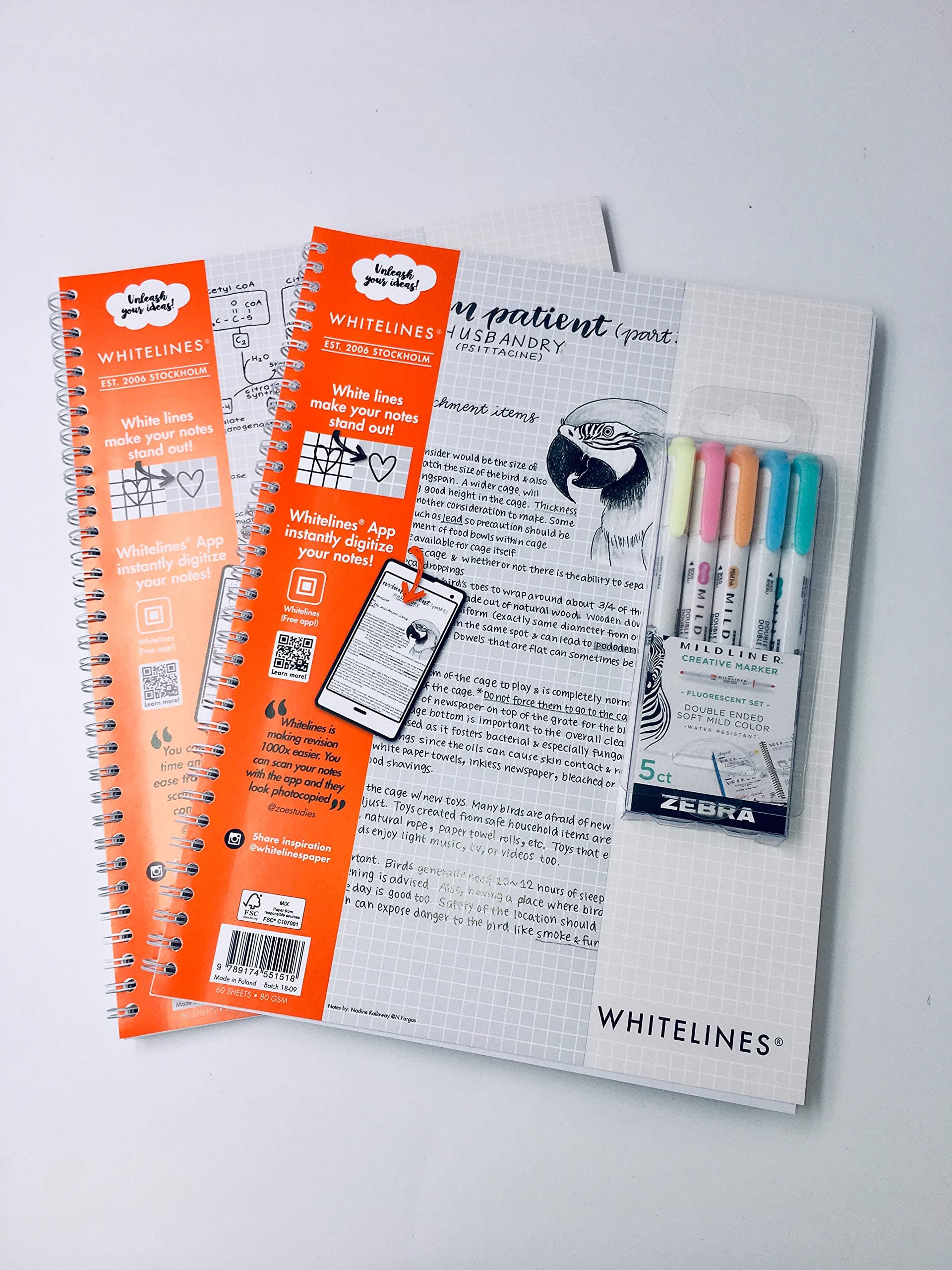 Whitelines Link A4 Squared Notebook 80gsm Paper (Multipack) (Pack of 2 Pads Plus Pk5 Zebra Mildliners)