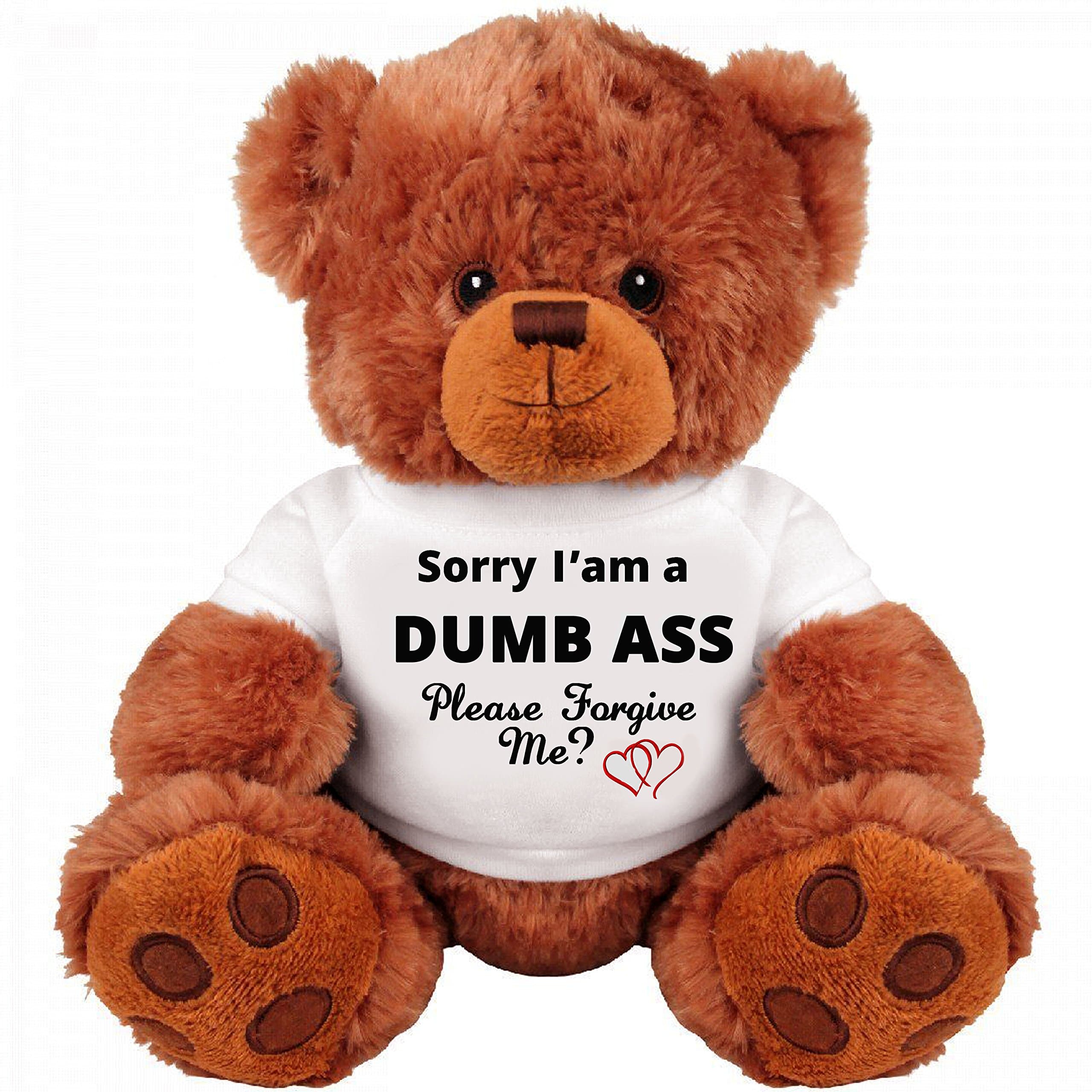 SinMan Sorry and Forgive Me Gift: Funny Teddy Bear Couple Gift: Medium Teddy Bear Stuffed Animal