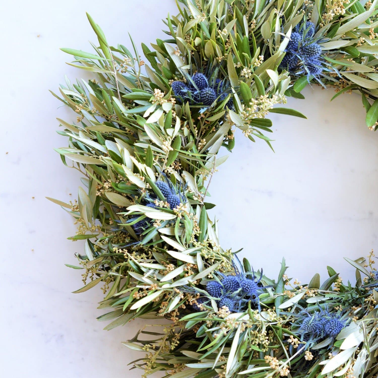 Club Botanic Blue Thistle and Olive Wreath | Fresh Winter Wreath | Fresh Foliage Wreath | Live Foliage Wreath | Fresh Wedding Wreath | Fresh Spring Wreath for Front Door