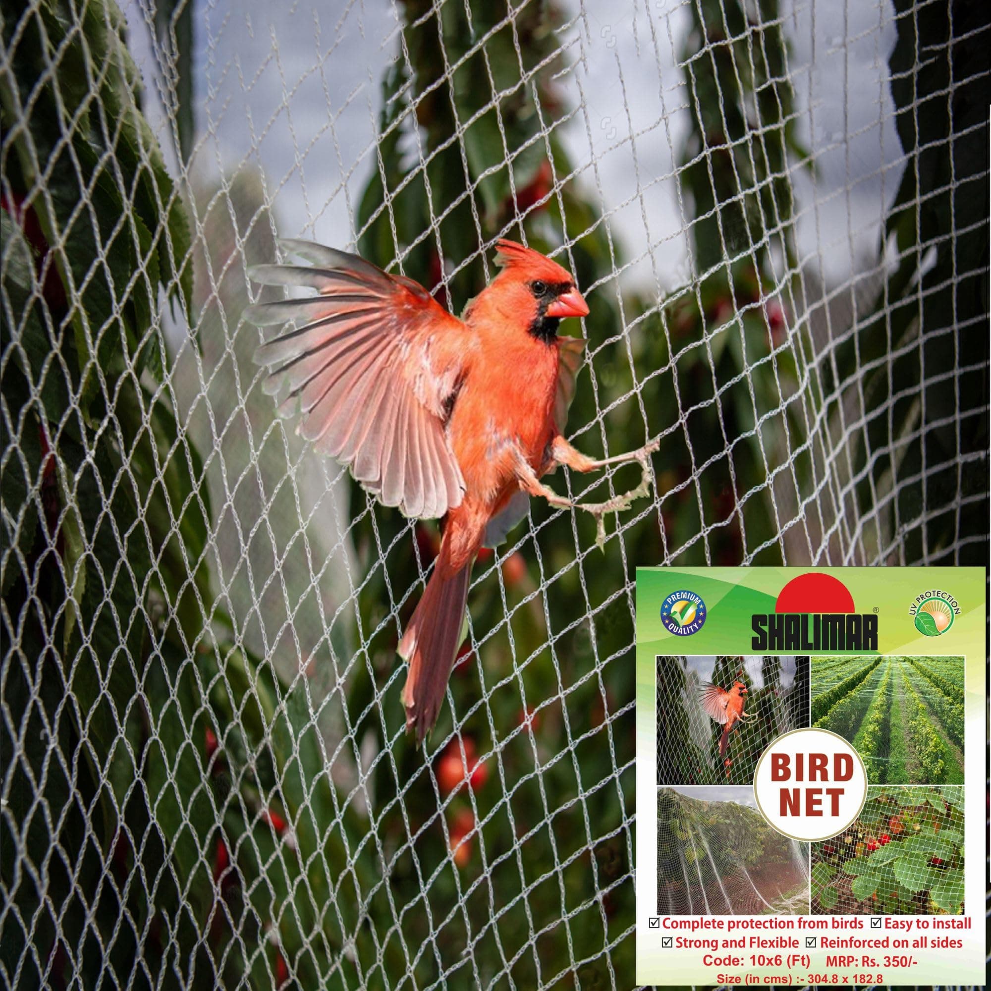 Shalimar Bird Net/Anti Bird Net/Pigeon Net/Garden Net/Bird Control Net Uv Stabilised Hdpe Monofilament Netting Solution (10 X 06),White