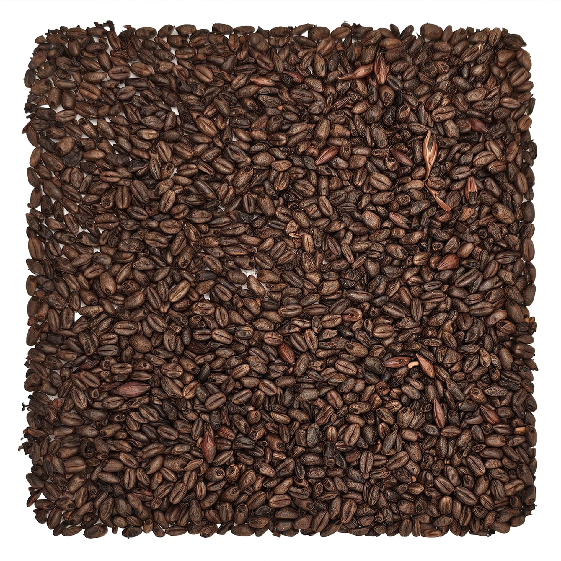 Briess BJ-5U8M-8RRM Chocolate Malt 1 lb., Brown