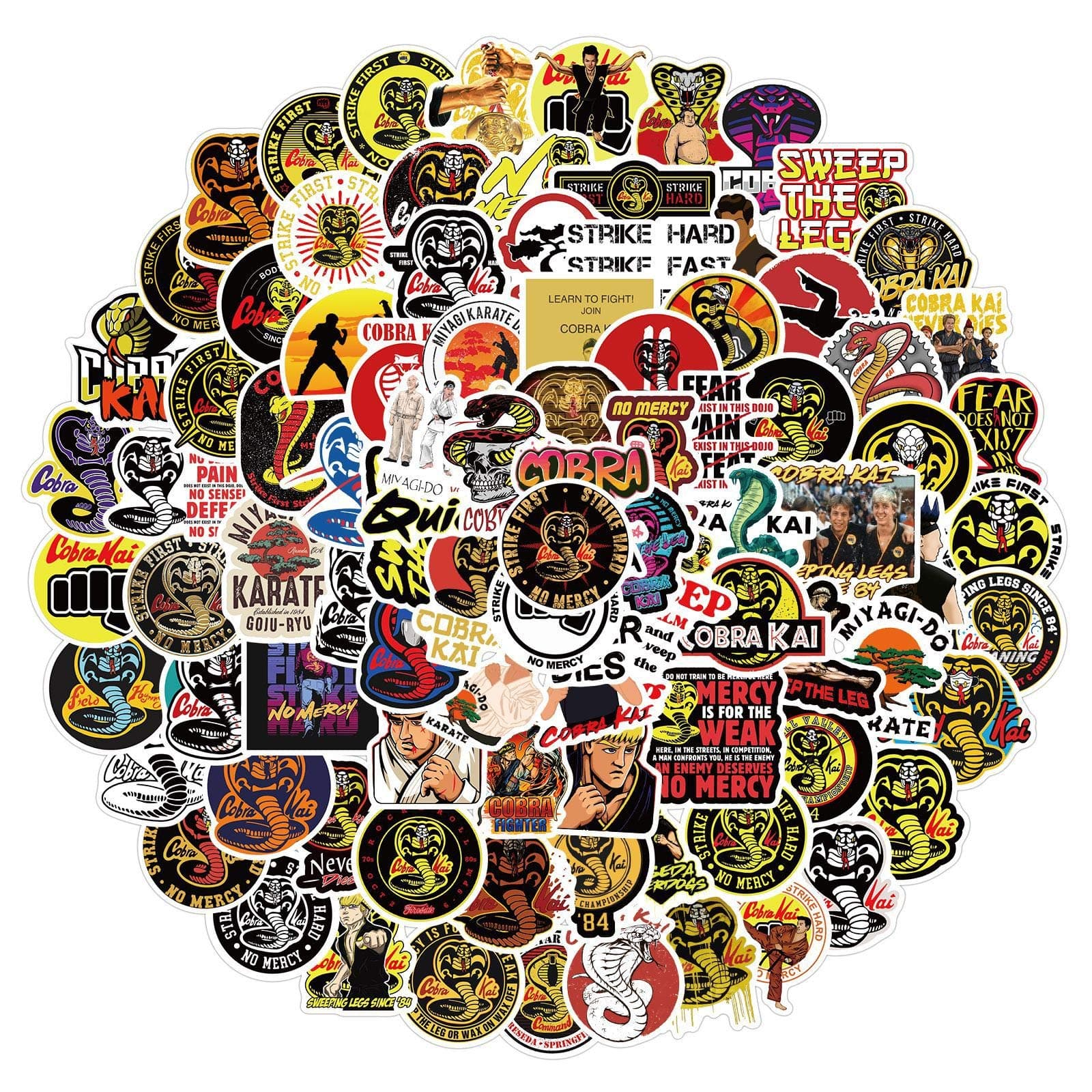 Stickers for Water Bottle Teen and Girl, Cute Waterproof Laptop Computer Skateboard Bicycle Luggage Guitar Travel Case Bike Decal (Cobra Kai)