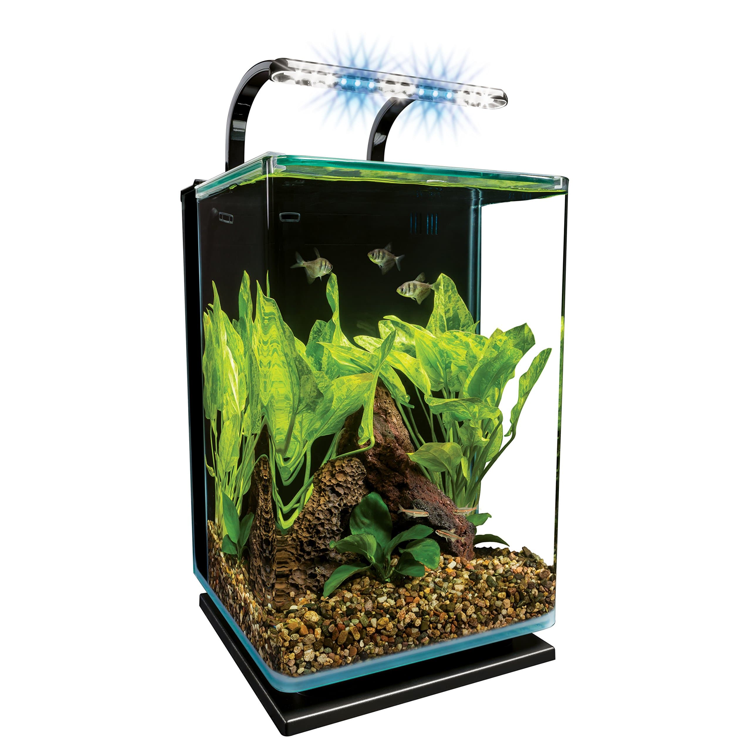 Marineland Contour Glass Aquarium Kit with Rail Light, 5-Gallon by MarineLand