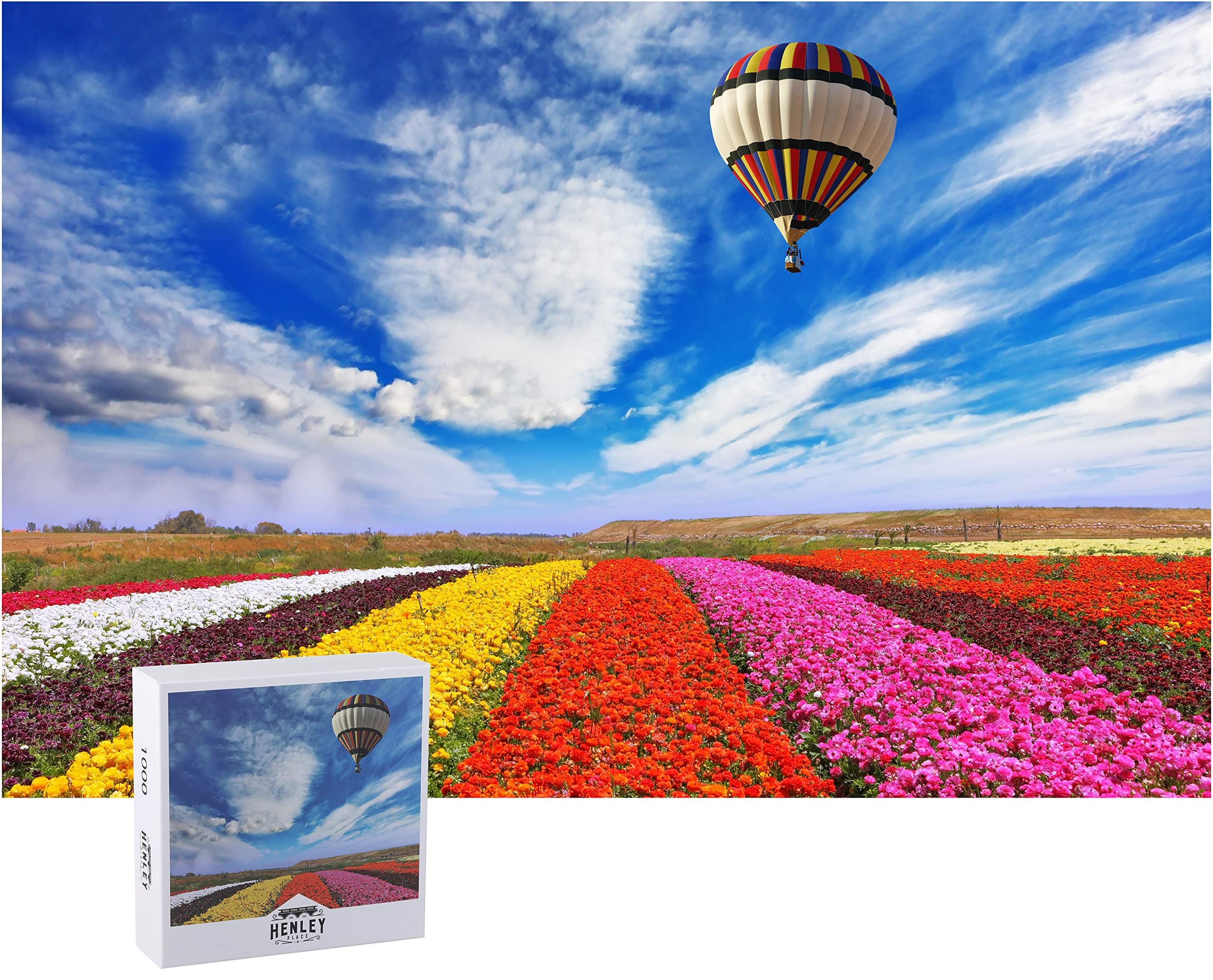 Hot Air Balloon Puzzle