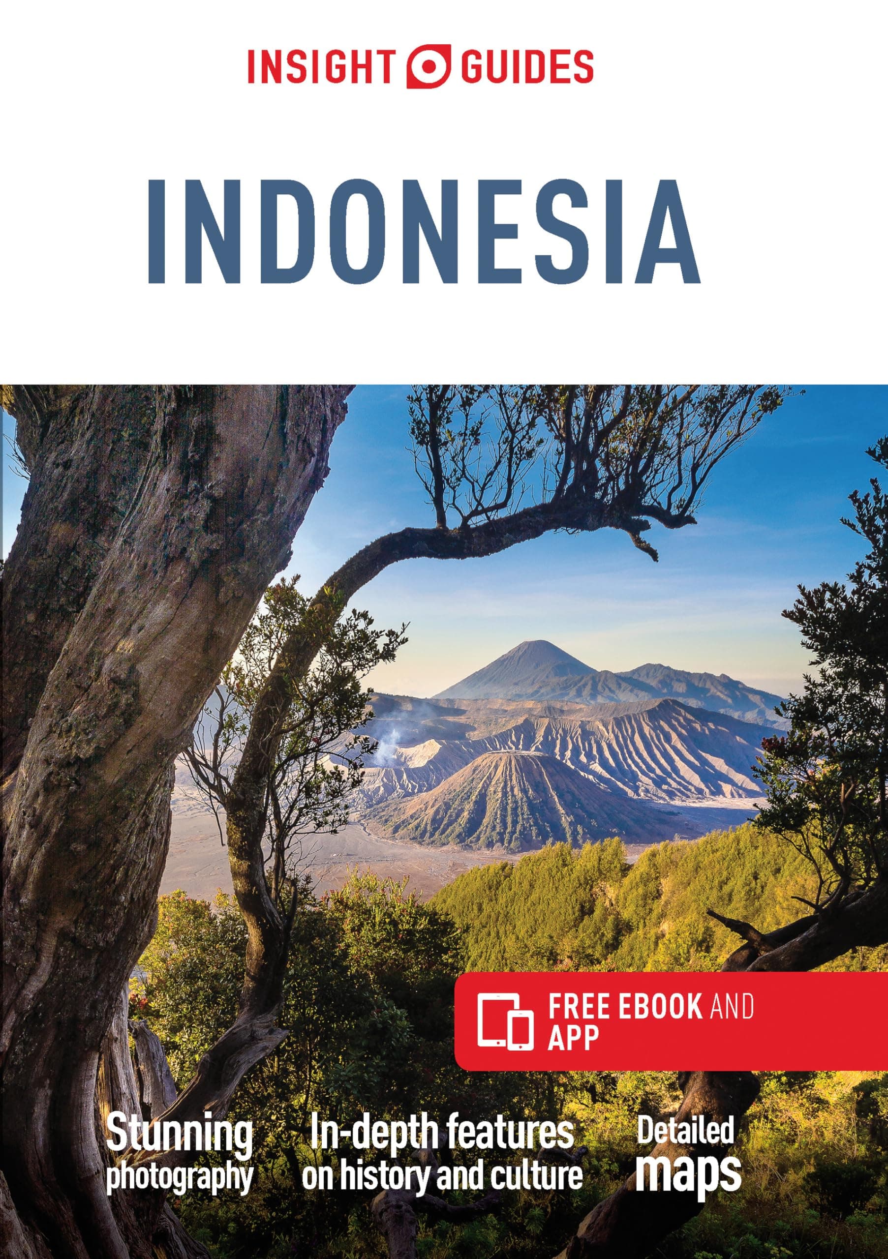 Insight Guides Indonesia (Travel Guide with Free eBook) (Insight Guides Main Series)