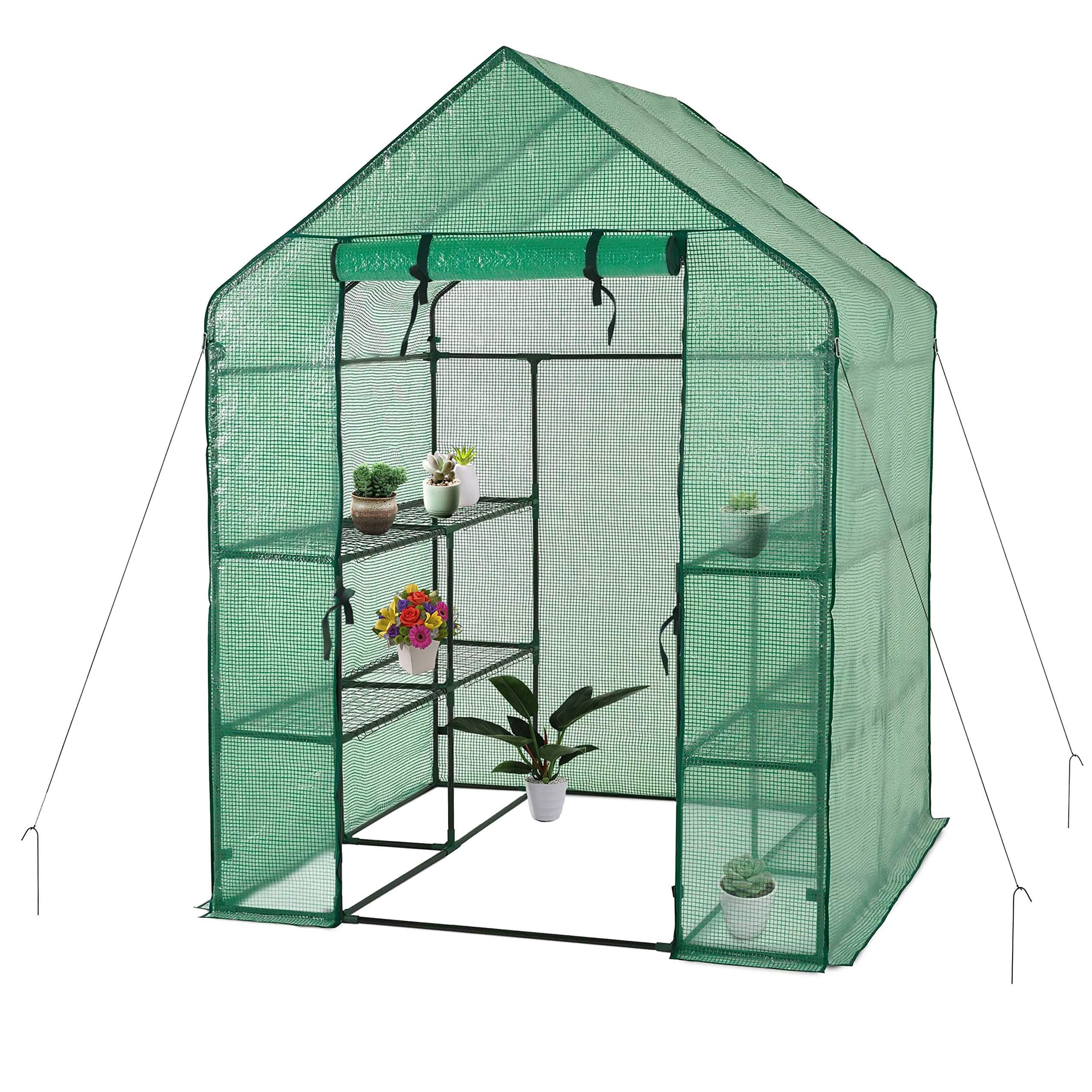 Deluxe Green House 56" W x 56" D x 77" H,Walk in Outdoor Plant Gardening Greenhouse,3 Tiers 6 Shelves (56" W x 56" D x 77" H)